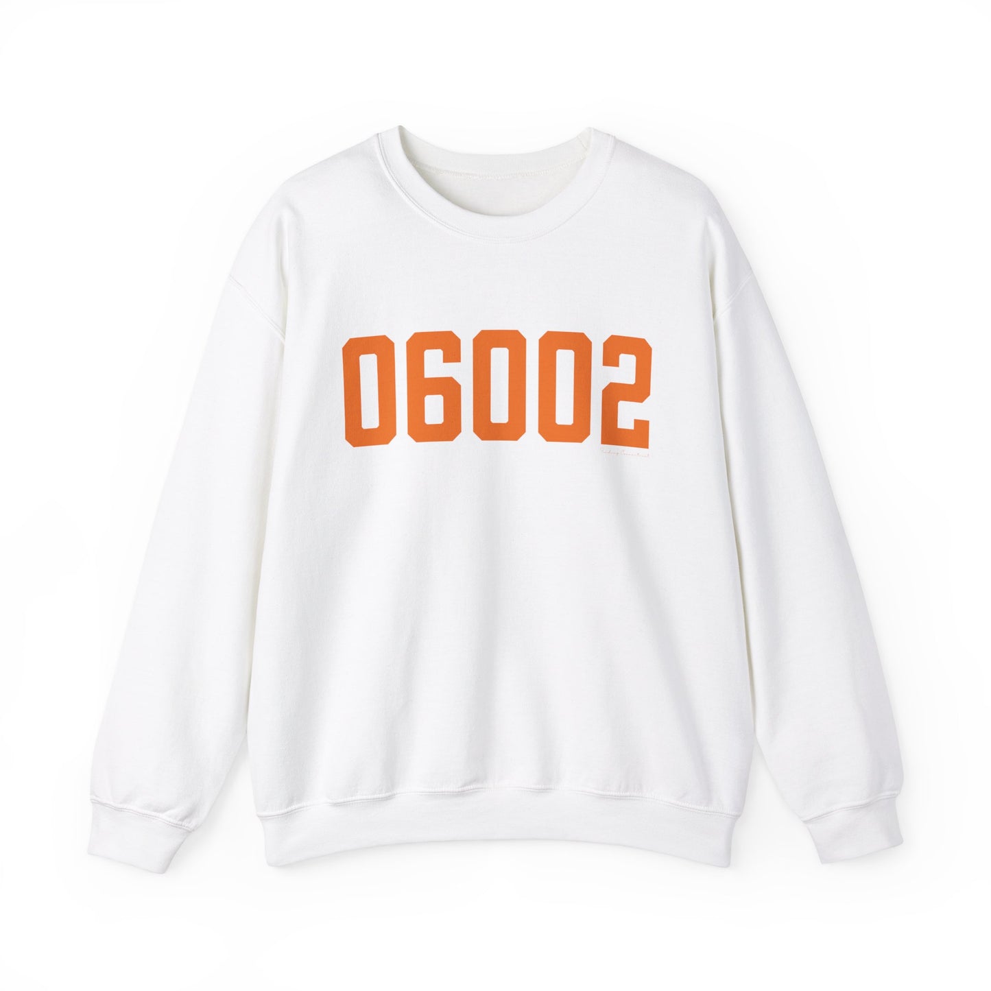 06002 - Bloomfield Connecticut Zip Code // bloomfield Connecticut unisex sweatshirt / finding connecticut