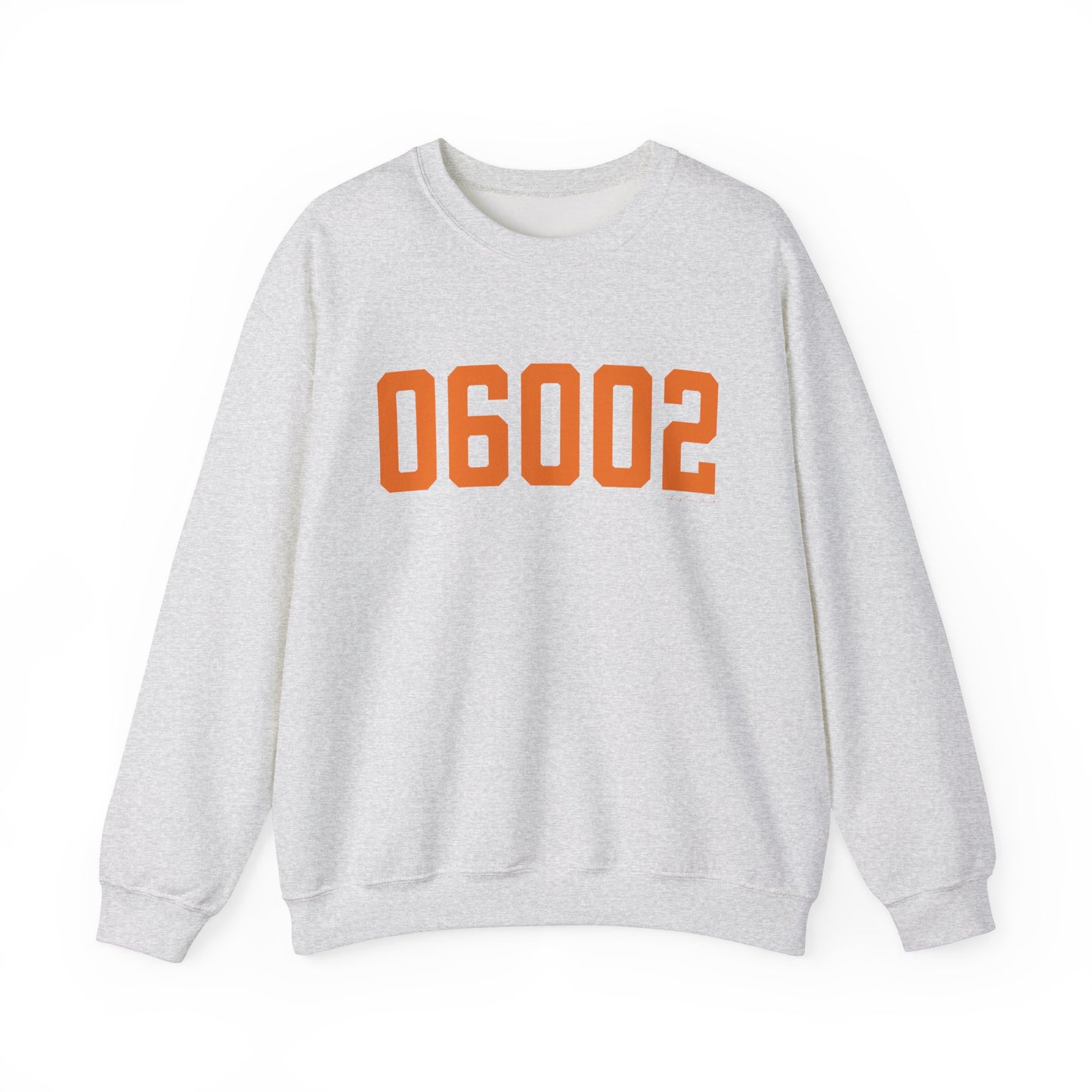 06002 - Bloomfield Connecticut Zip Code // bloomfield Connecticut unisex sweatshirt / finding connecticut