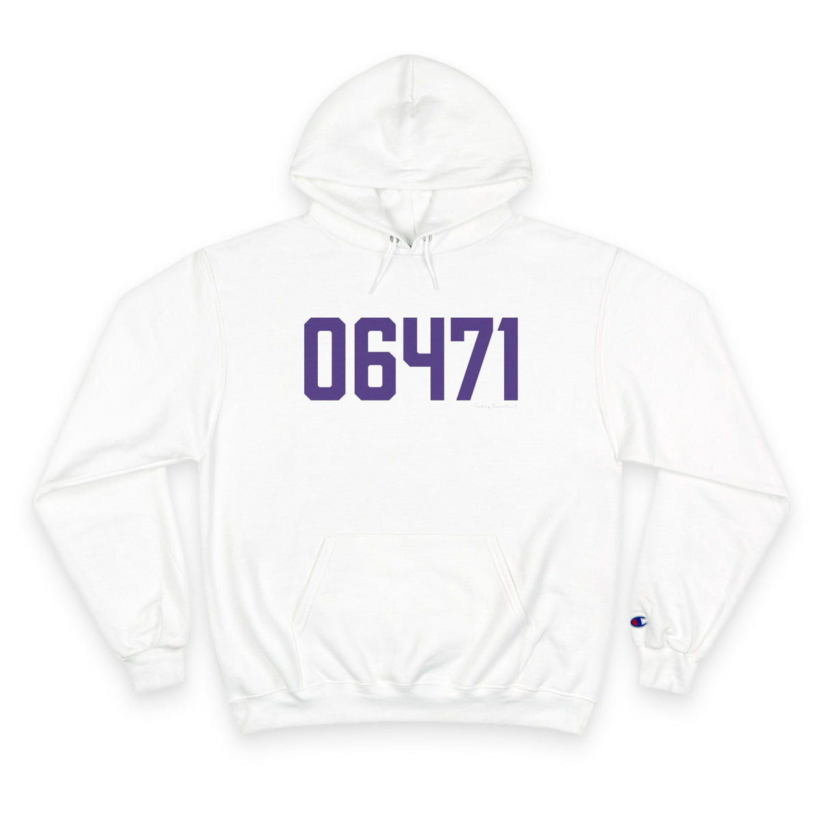 06471 North Branford Connecticut Zip Code Champion Hoodie