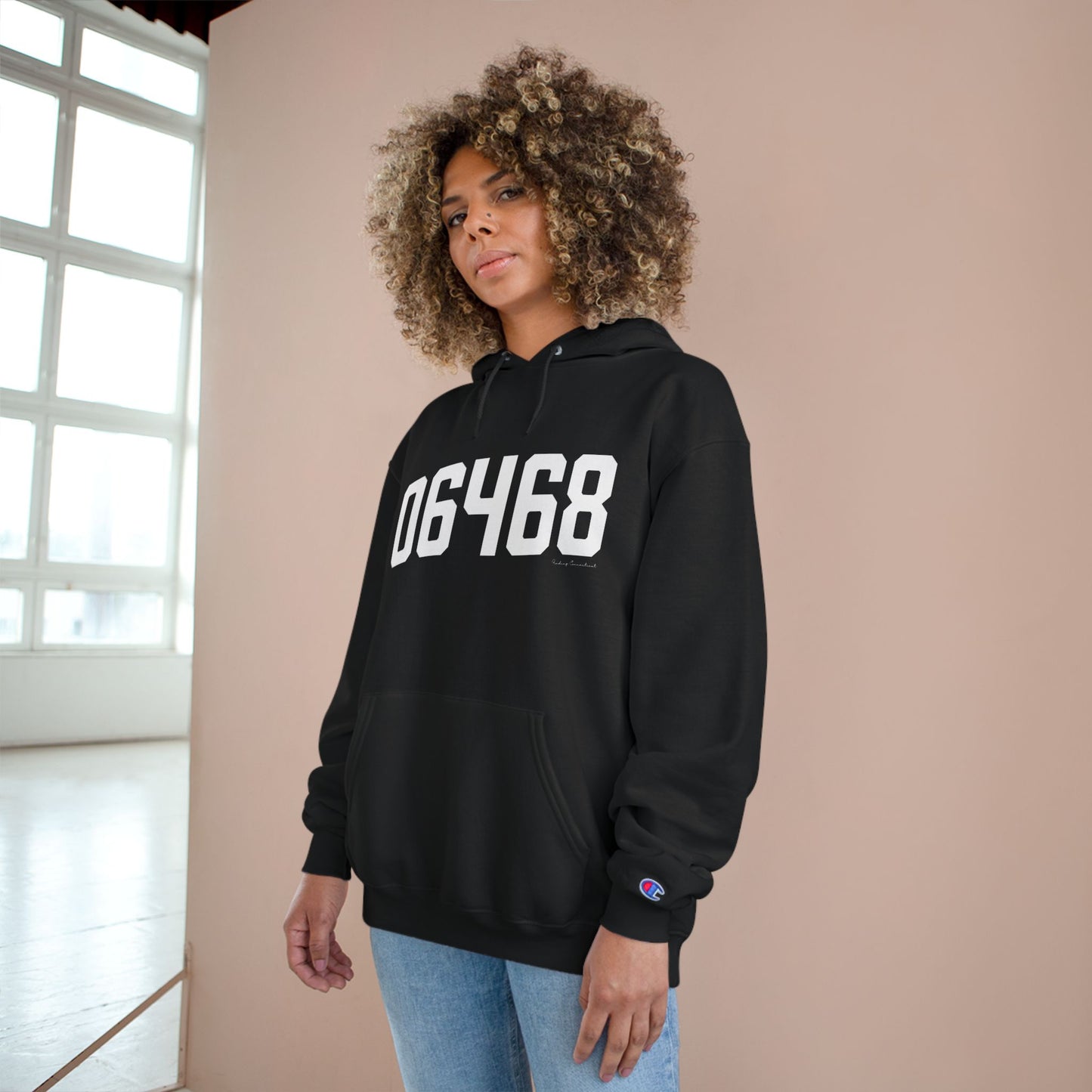 06468 Monroe Connecticut Zip Code Champion Hoodie Sweatshirts