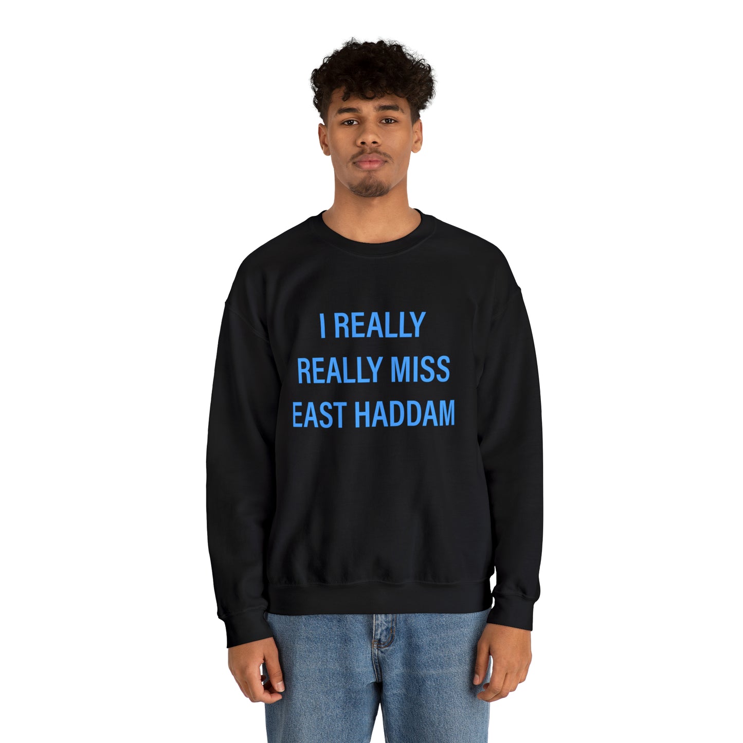 I Really Really Miss East Haddam Unisex Heavy Blend™ Crewneck Sweatshirt