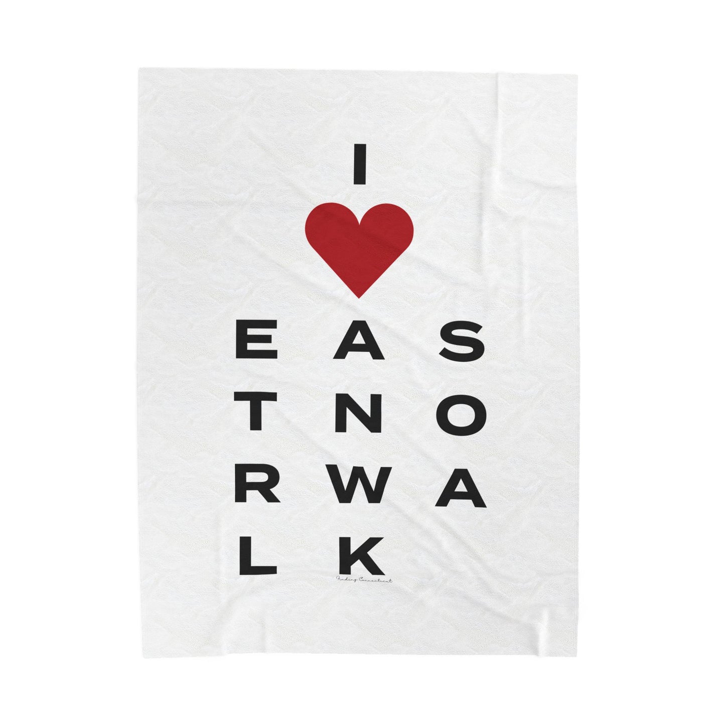 East Norwalk Vision Velveteen Plush Blanket
