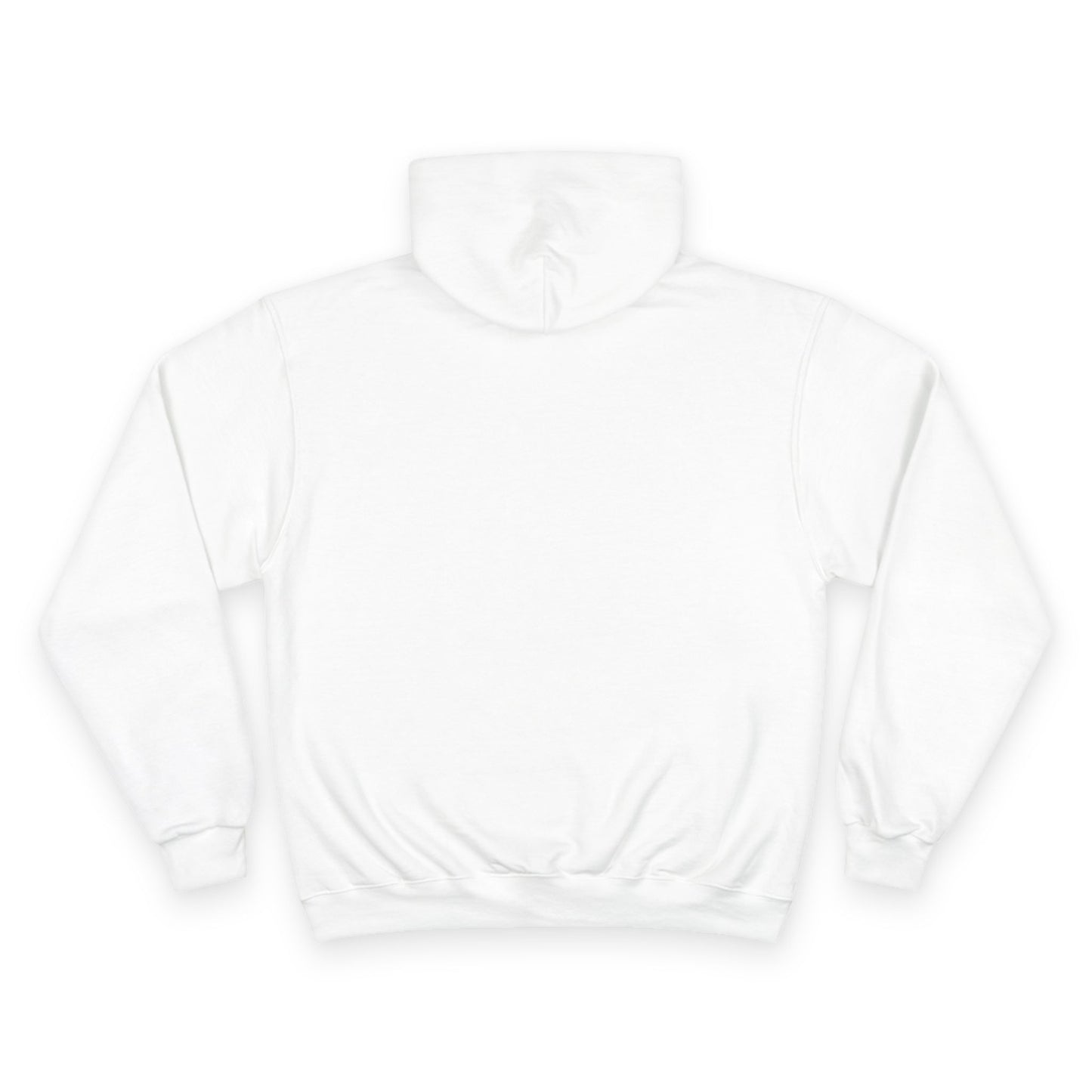 203 Beacon Falls Red White & Blue Champion Hoodie