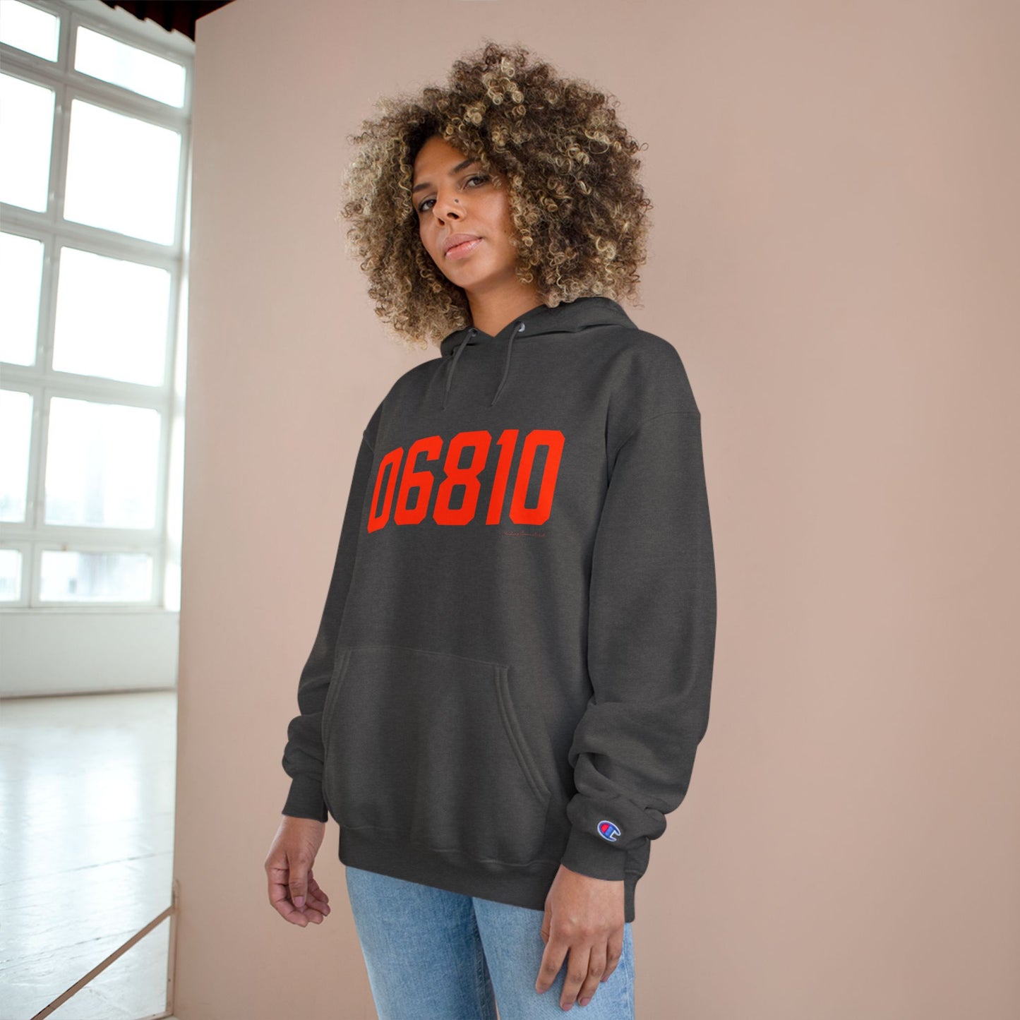 06810 Danbury Connecticut Zip Code Champion Hoodie Sweatshirt