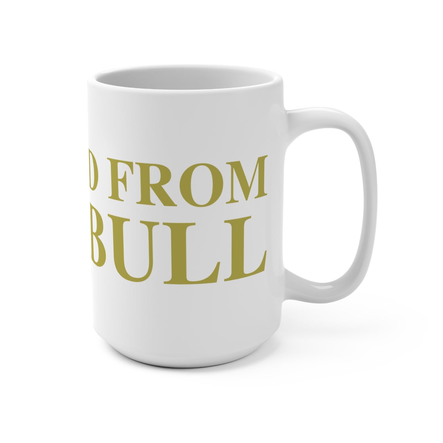 Just a kid from Trumbull  Mug 15oz