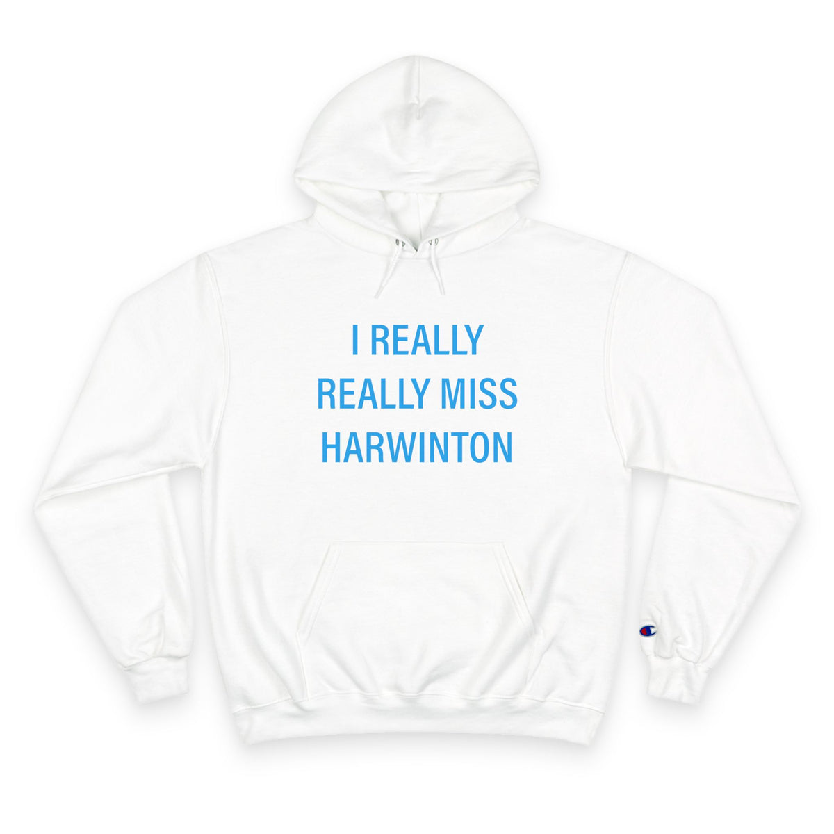 I Really Really Miss Harwinton Champion Hoodie