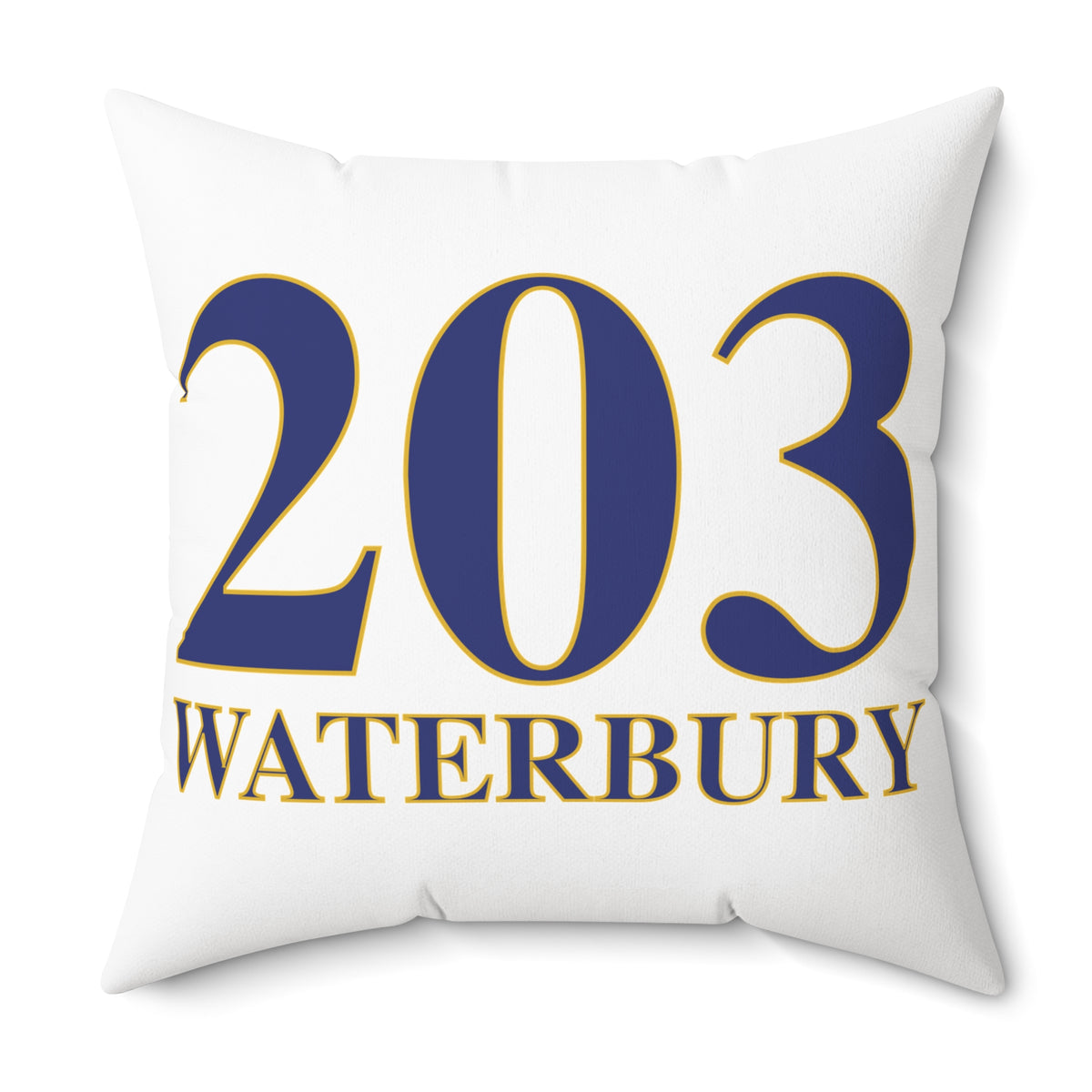 203 Waterbury Polyester Square Pillow