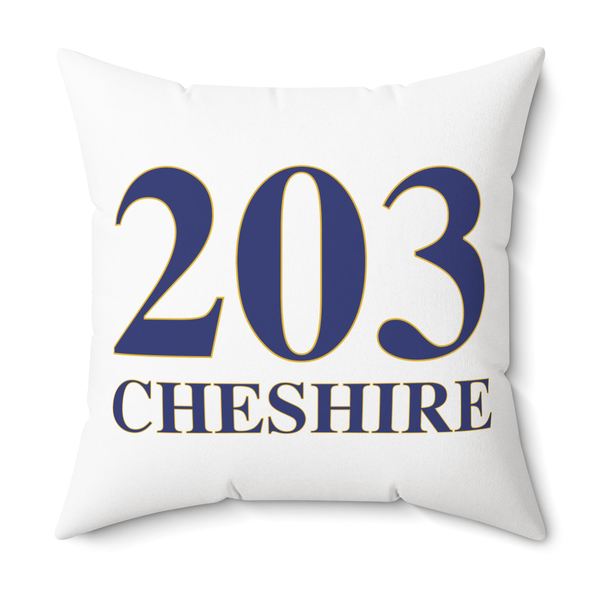 203 Cheshire Polyester Square Pillow