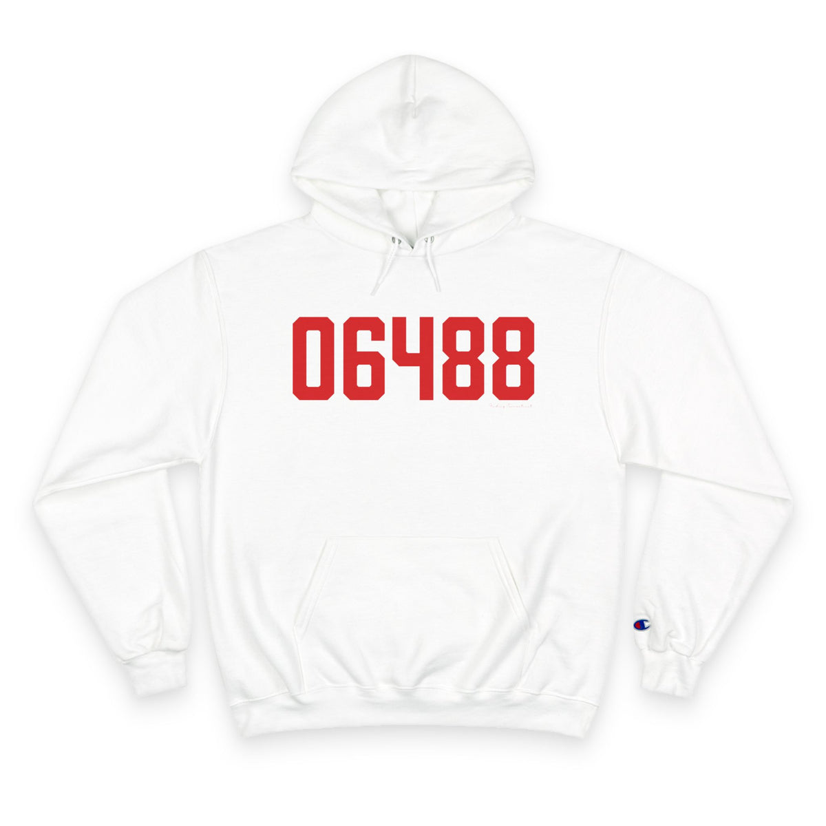 06488 Southbury Connecticut Zip Code Champion Hoodie