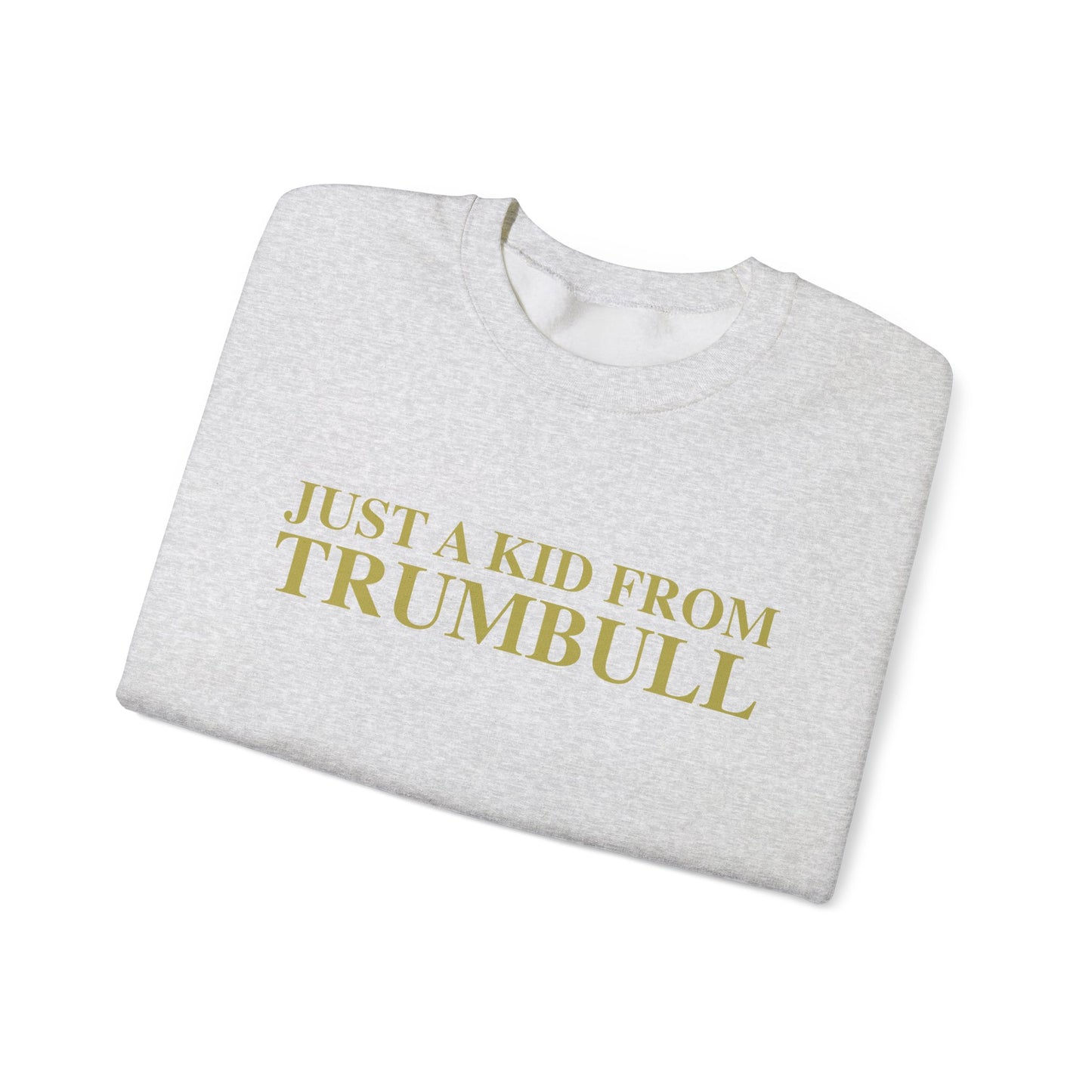 Just a kid from Trumbull Unisex Heavy Blend™ Crewneck Sweatshirt