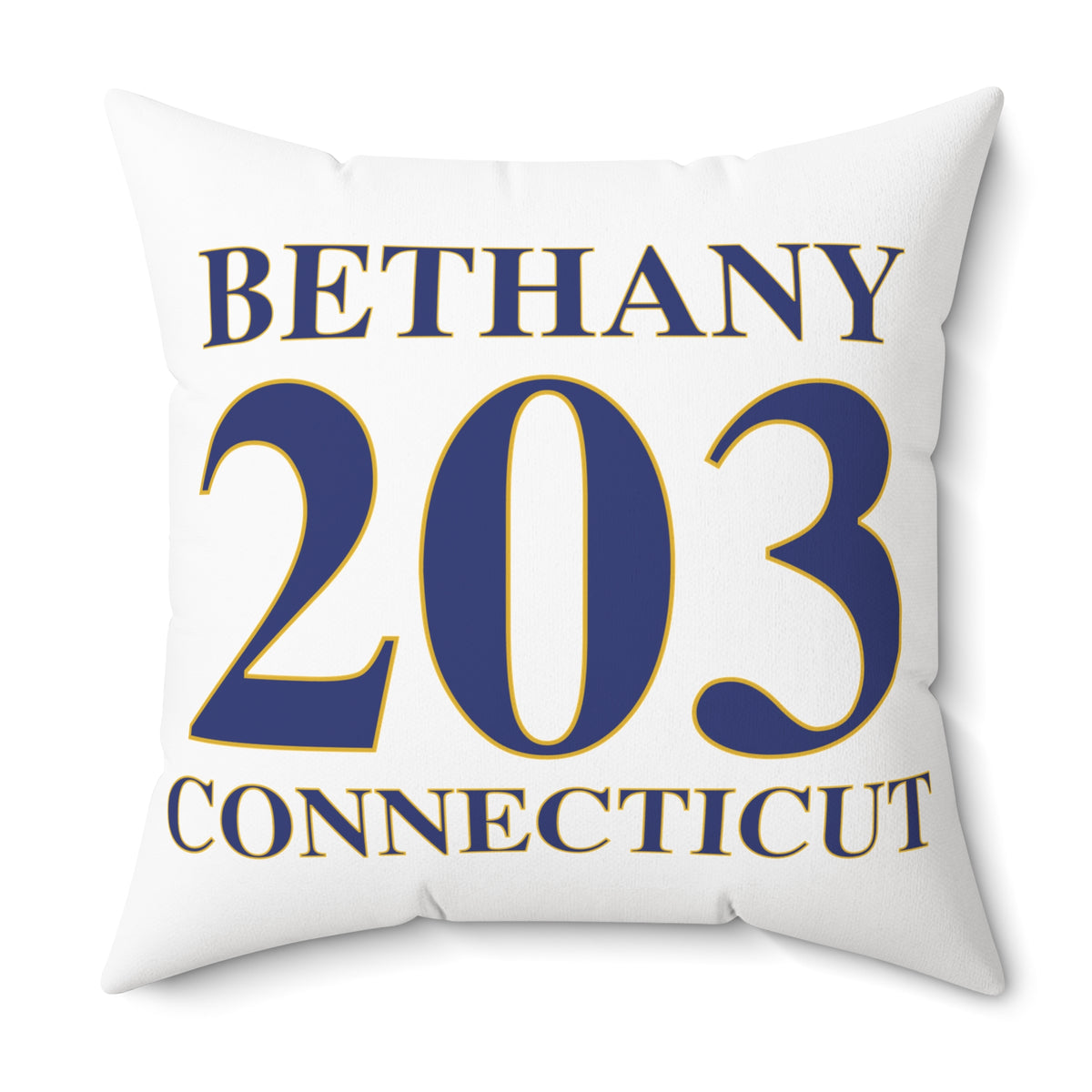 Bethany 203 Connecticut Polyester Square Pillow