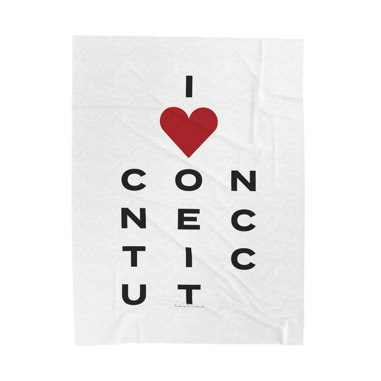 Connecticut Vision Velveteen Plush Blanket