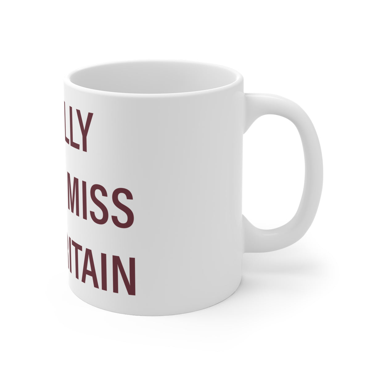 I Really Really Miss New Britain Mug 11oz