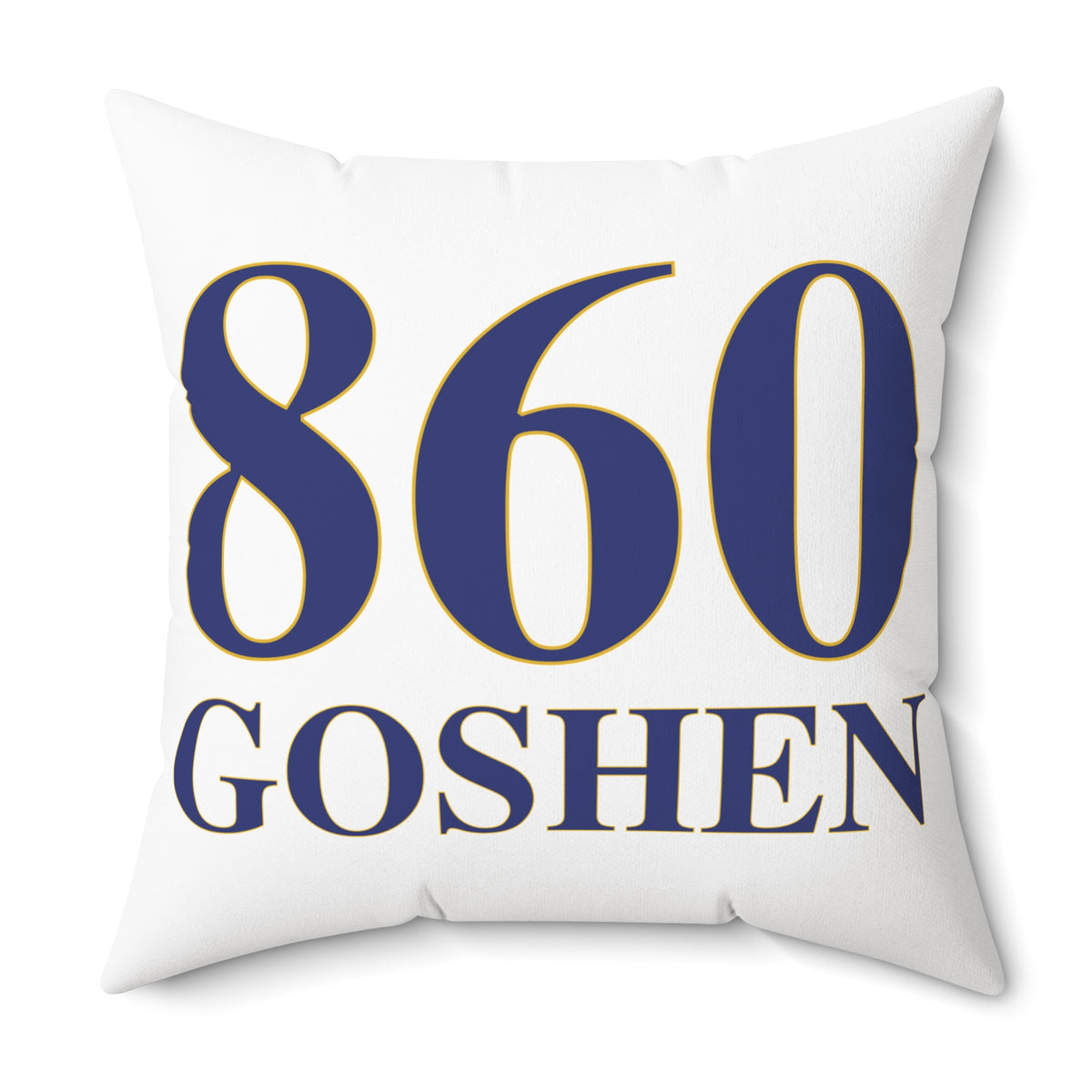 860 Goshen Polyester Square Pillow