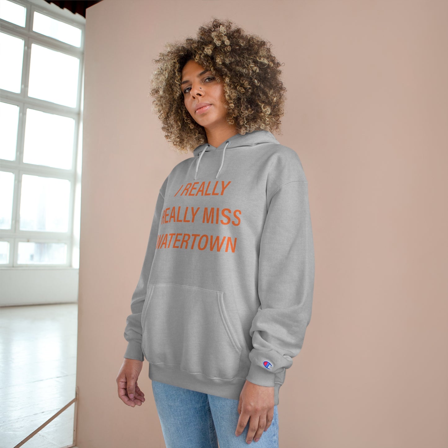 I Really Really Miss Watertown Champion Hoodie