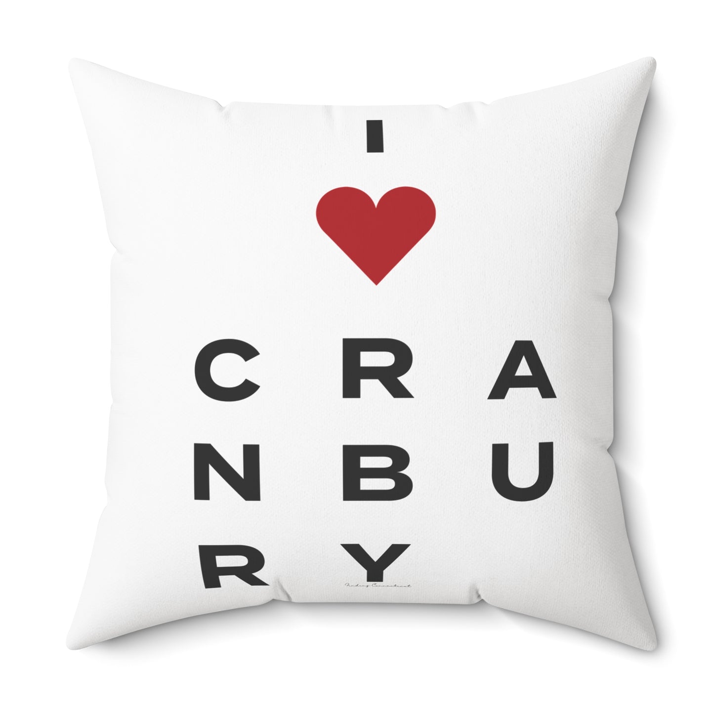 Cranbury Vision Spun Polyester Square Pillow