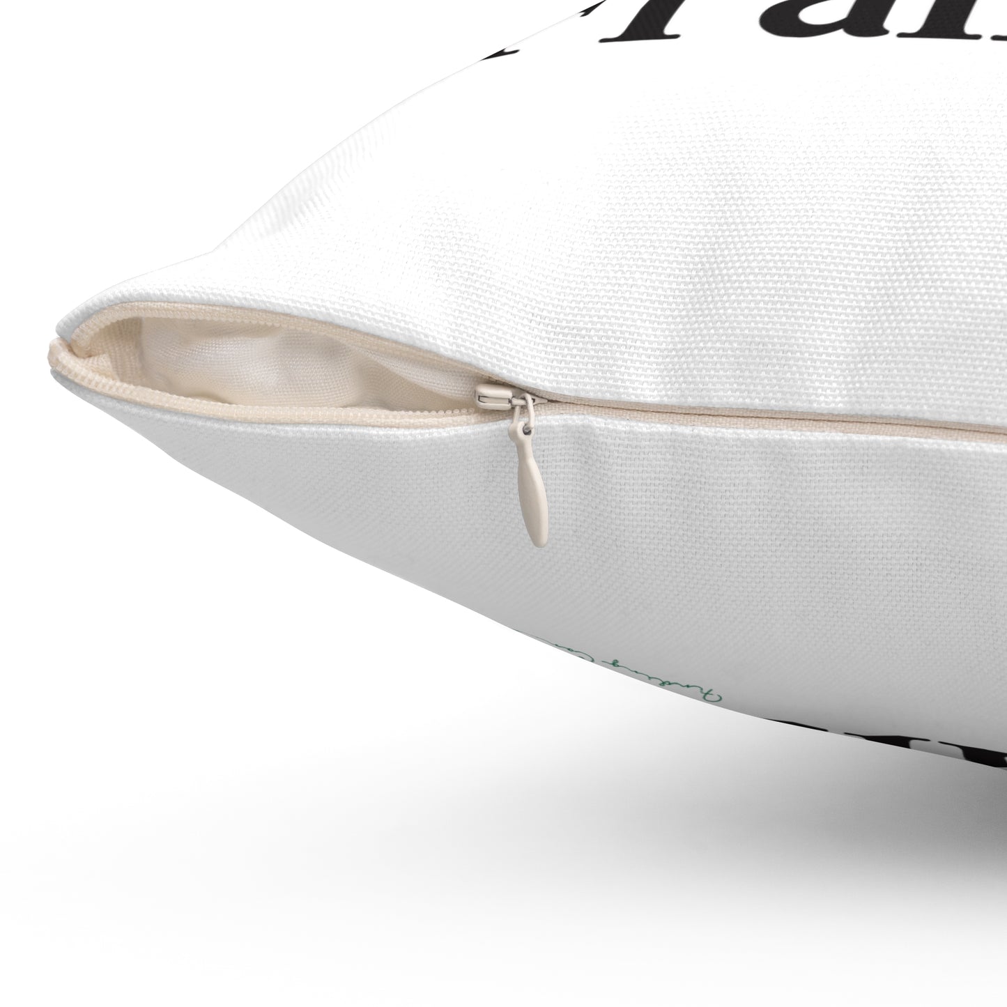 I Clover Franklin Spun Polyester Square Pillow