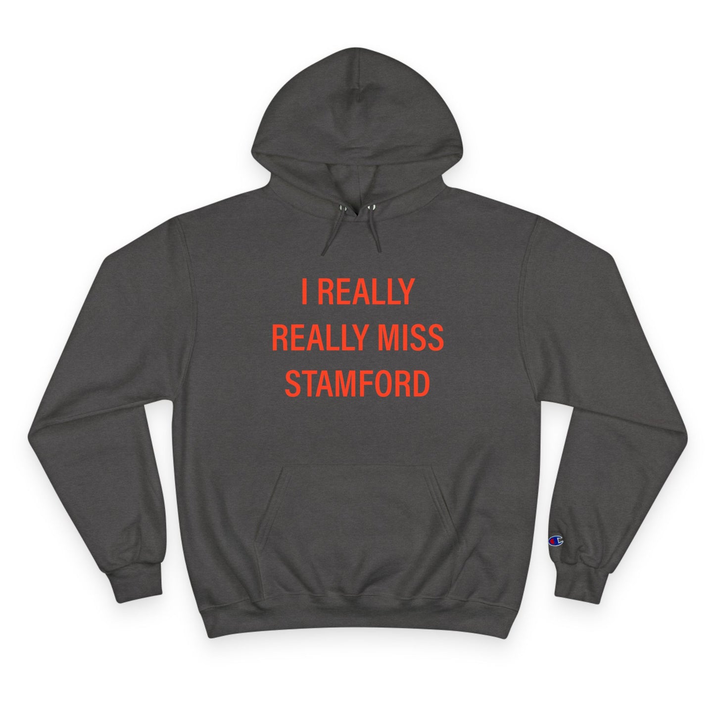 I Really Really Miss Stamford Champion Hoodie