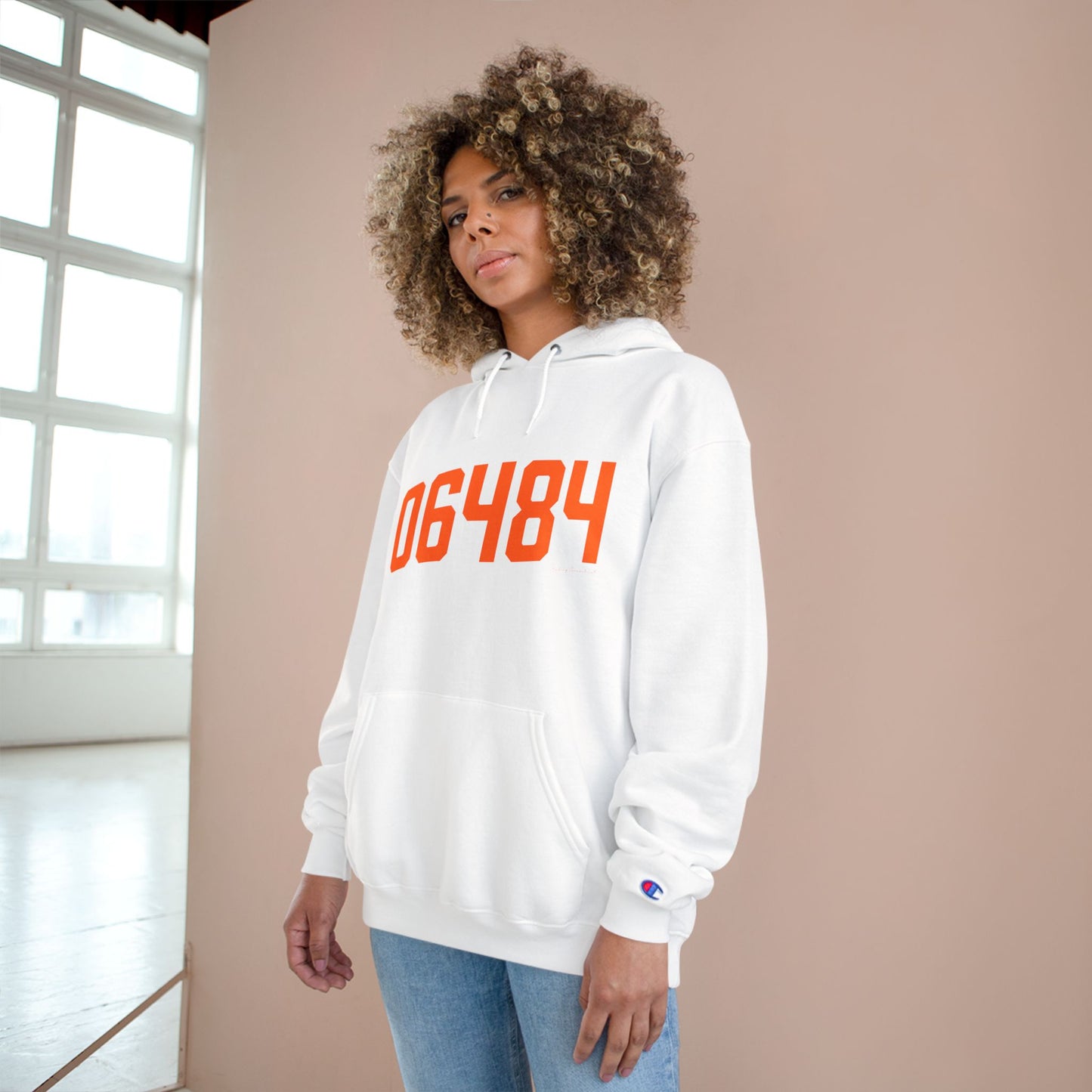 06484 Shelton Connecticut Zip Code Champion Hoodie Sweatshirt