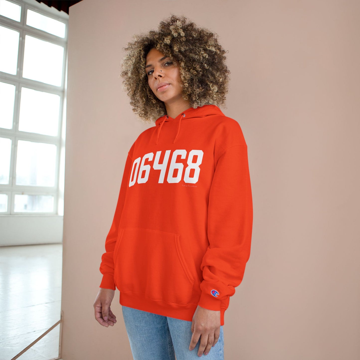 06468 Monroe Connecticut Zip Code Champion Hoodie Sweatshirts