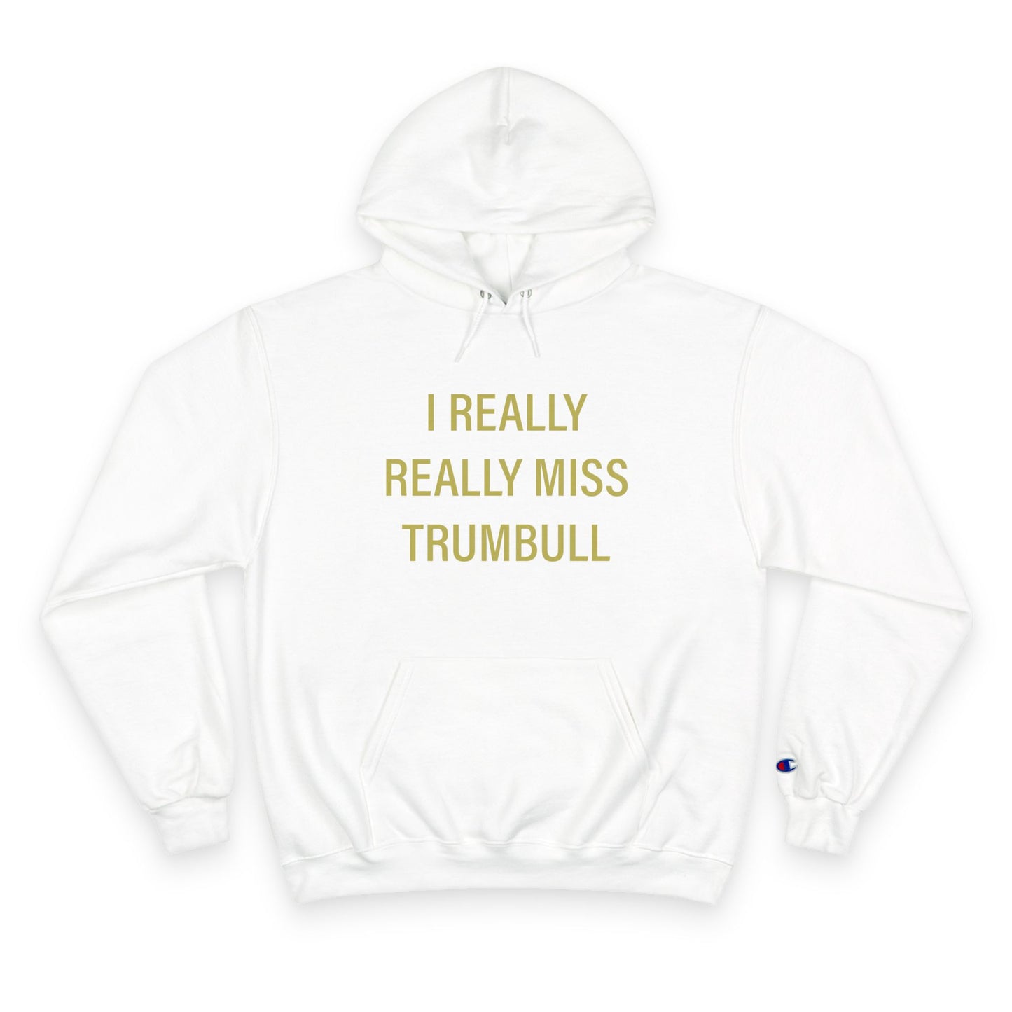 I Really Really Miss Trumbull Champion Hoodie