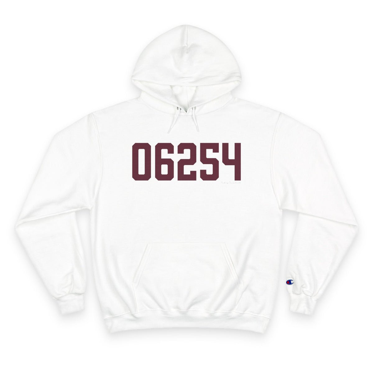 06254 Franklin Connecticut Zip Code Champion Hoodie