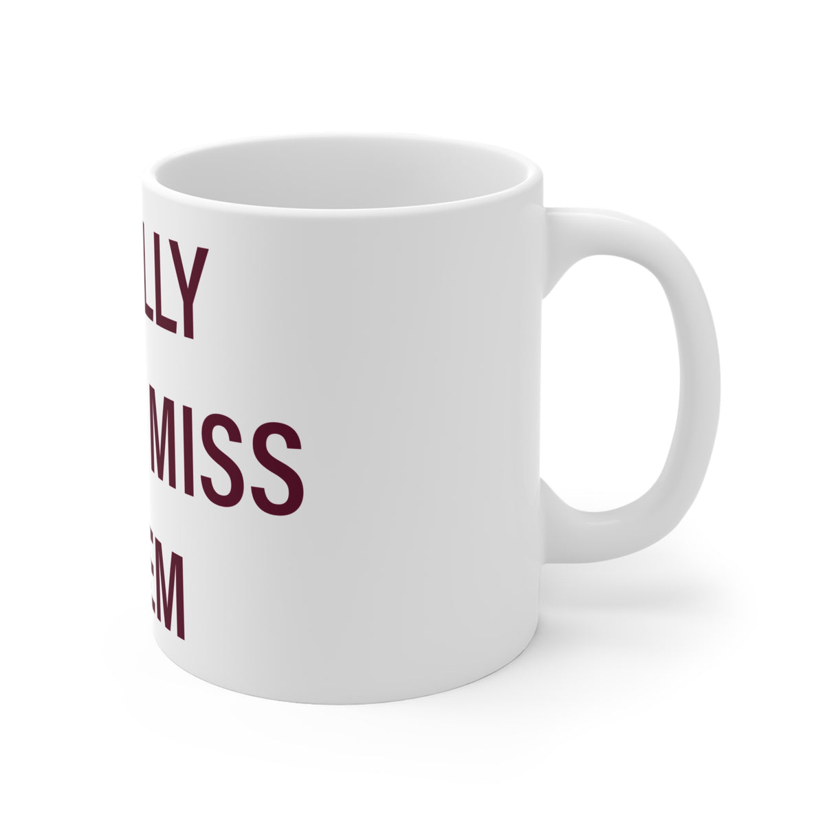 I Really Really Miss Salem Connecticut Mug 11oz