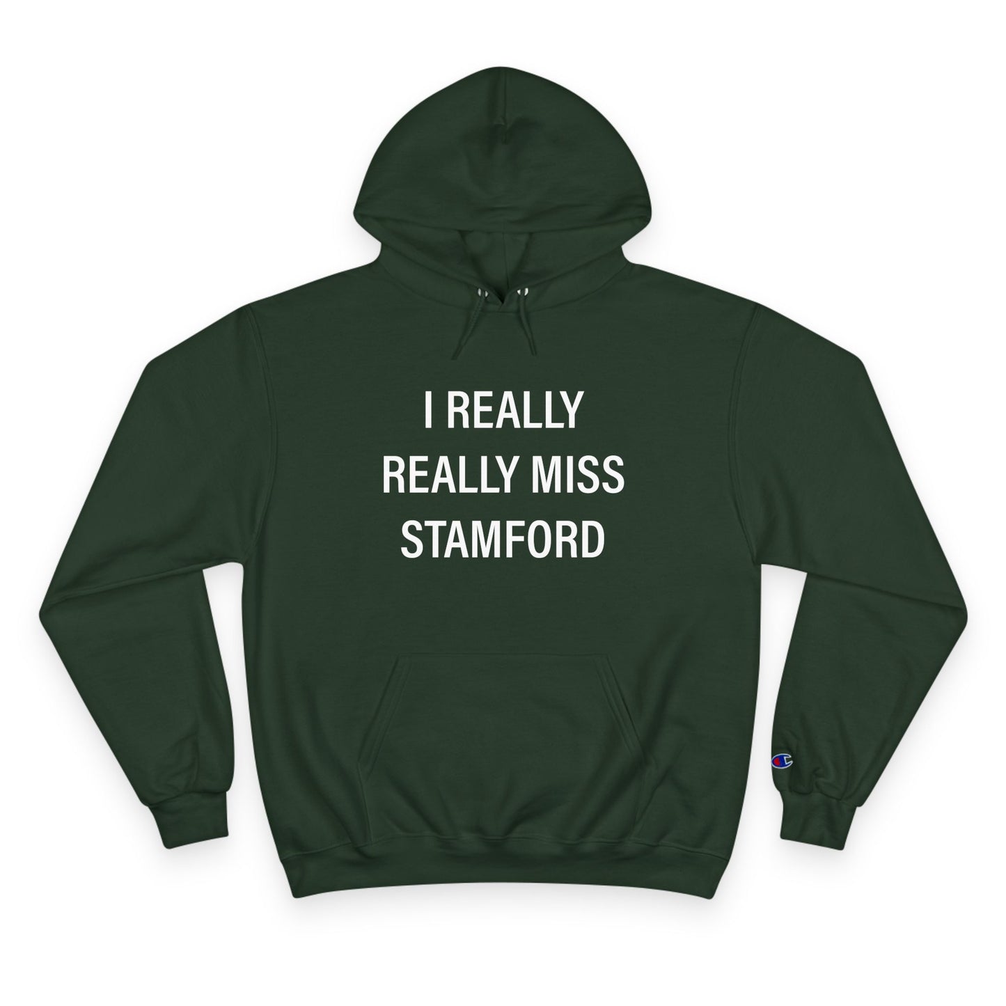 I Really Really Miss Stamford Champion Hoodie