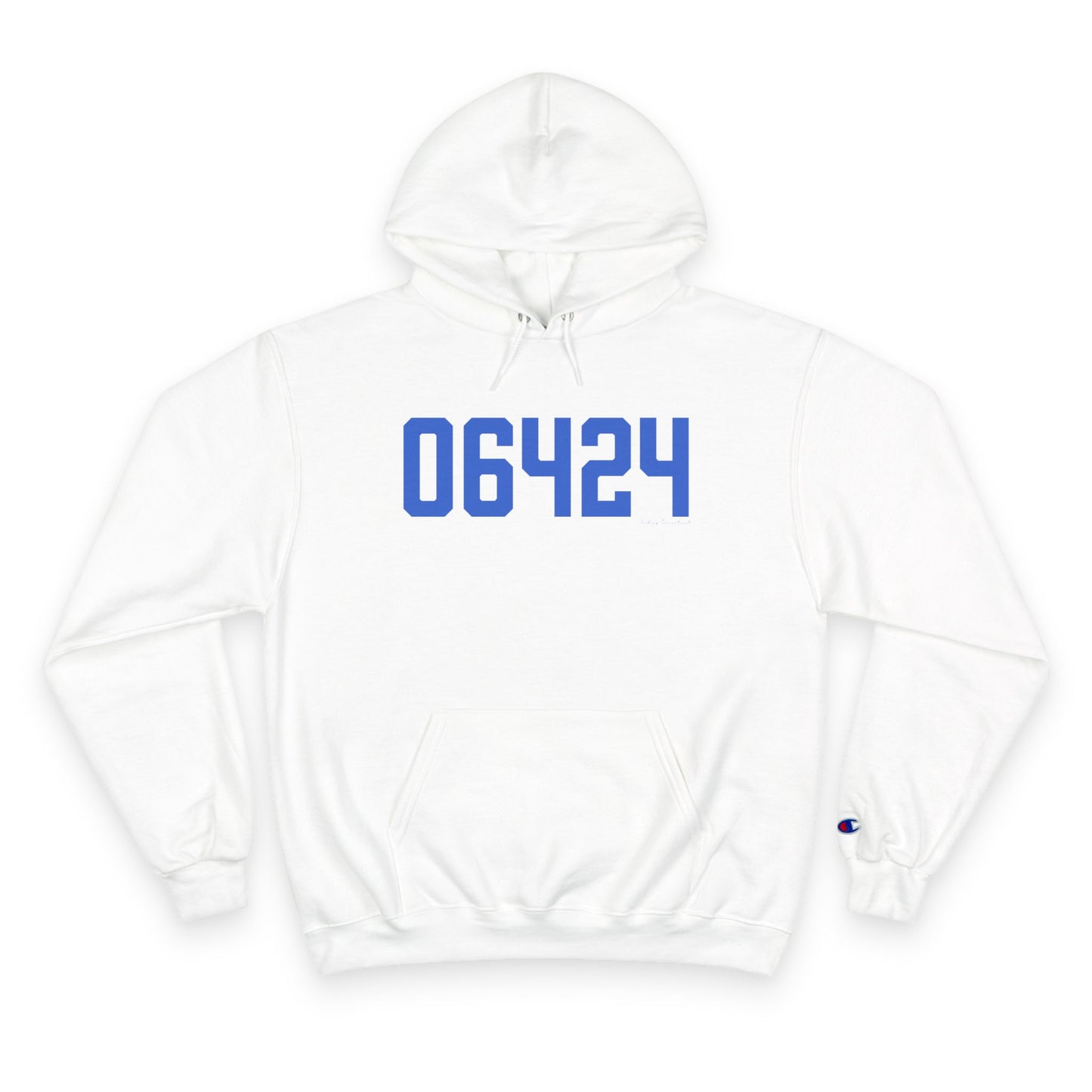 06464 East Hampton Connecticut Zip Code Champion Hoodie