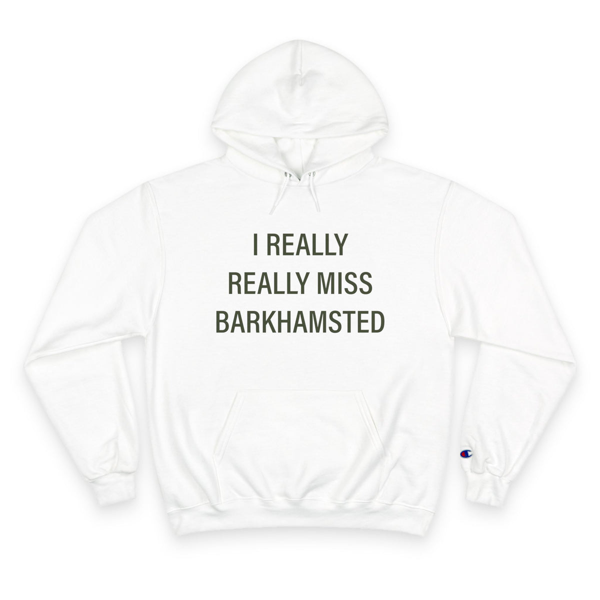 I Really Really Miss Barkhamsted Champion Hoodie