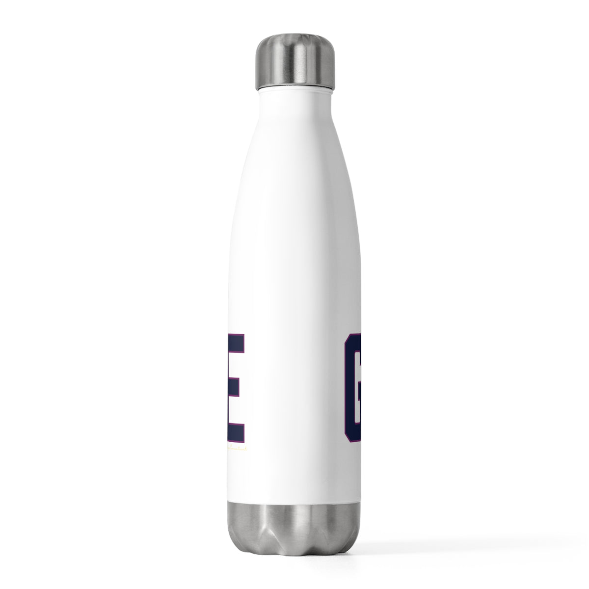 Goose Zip Code Blue & Purple 20oz Insulated Bottle