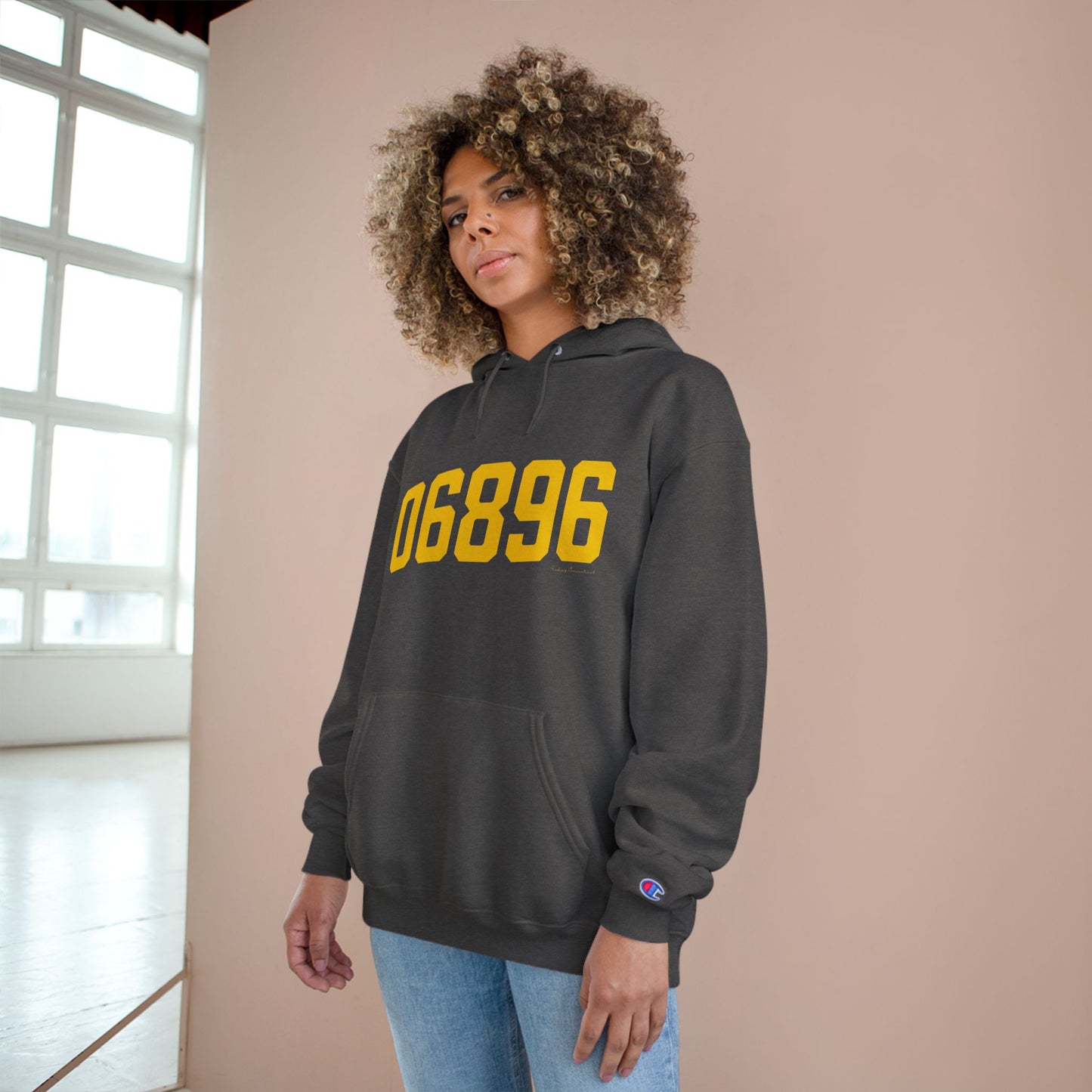 06896 Redding Connecticut Zip Code Champion Hoodie