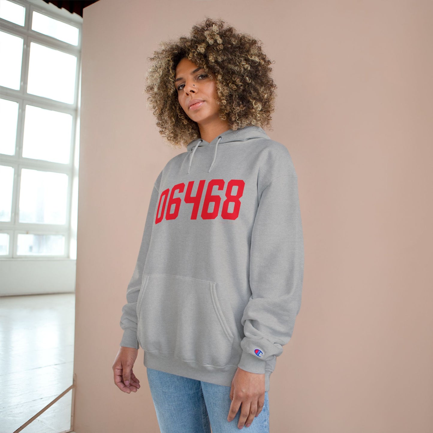 06468 Monroe Connecticut Zip Code Champion Hoodie