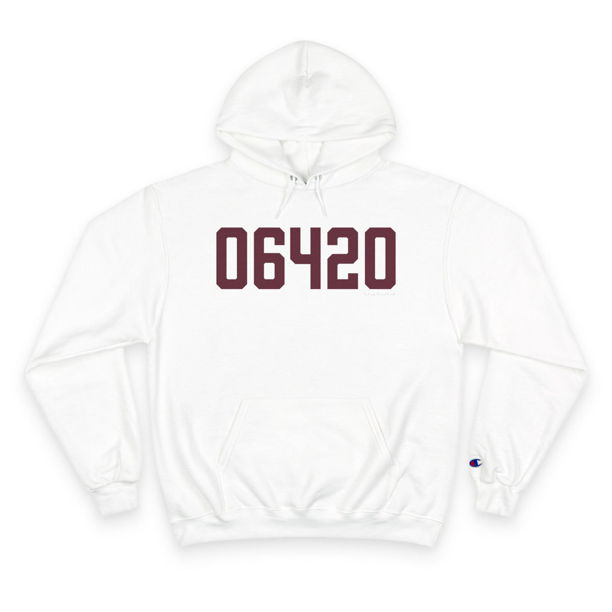 06420 Salem Connecticut Zip Code Champion Hoodie