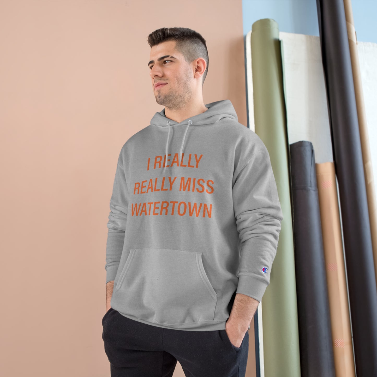 I Really Really Miss Watertown Champion Hoodie