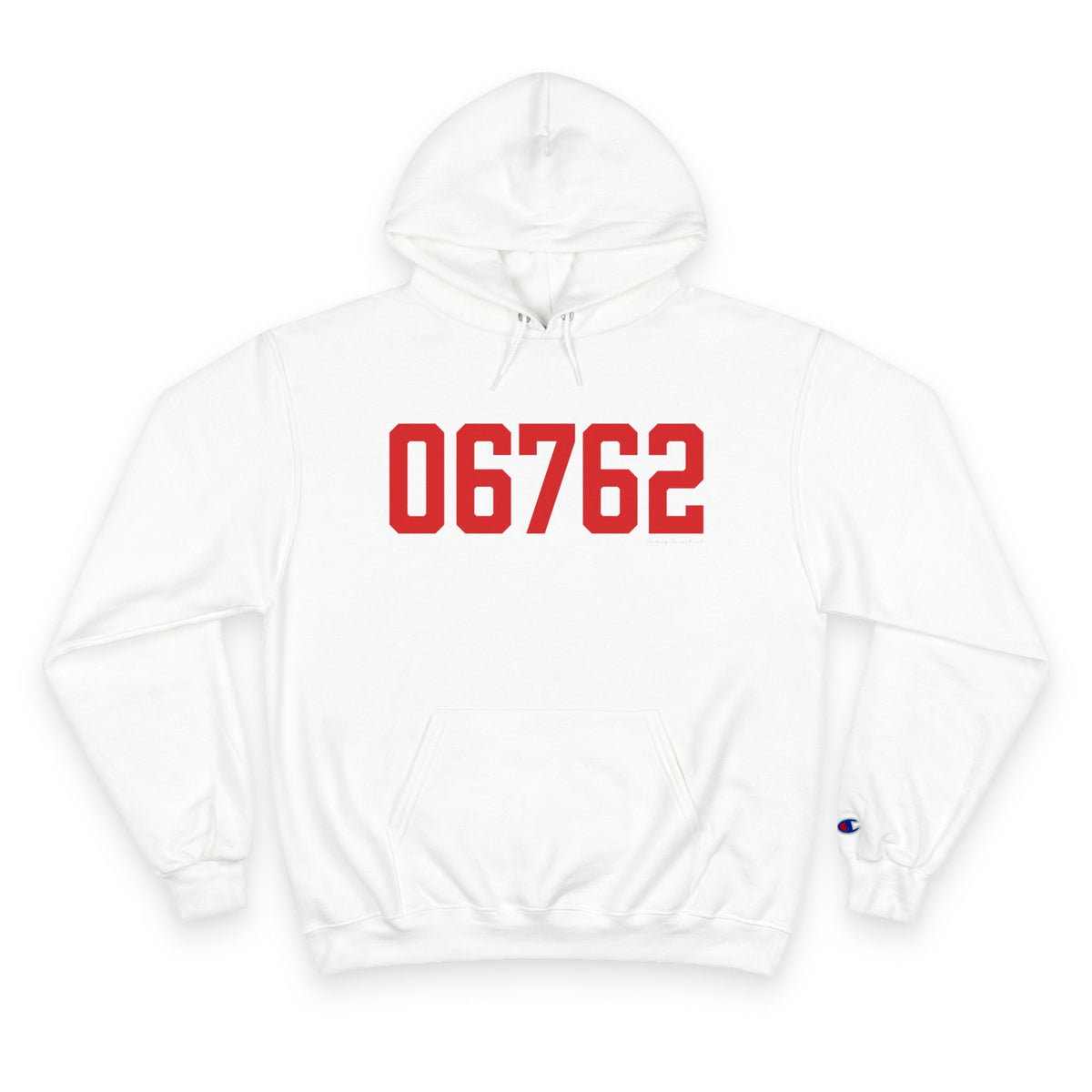 06762 Middlebury Connecticut Zip Code Champion Hoodie