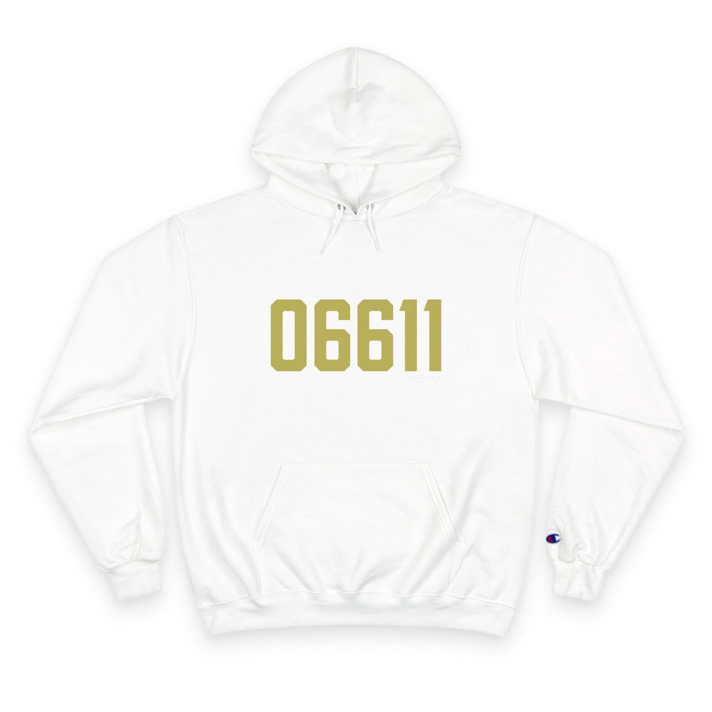 06611 Trumbull Connecticut Zip Code Champion Hoodie Sweatshirt