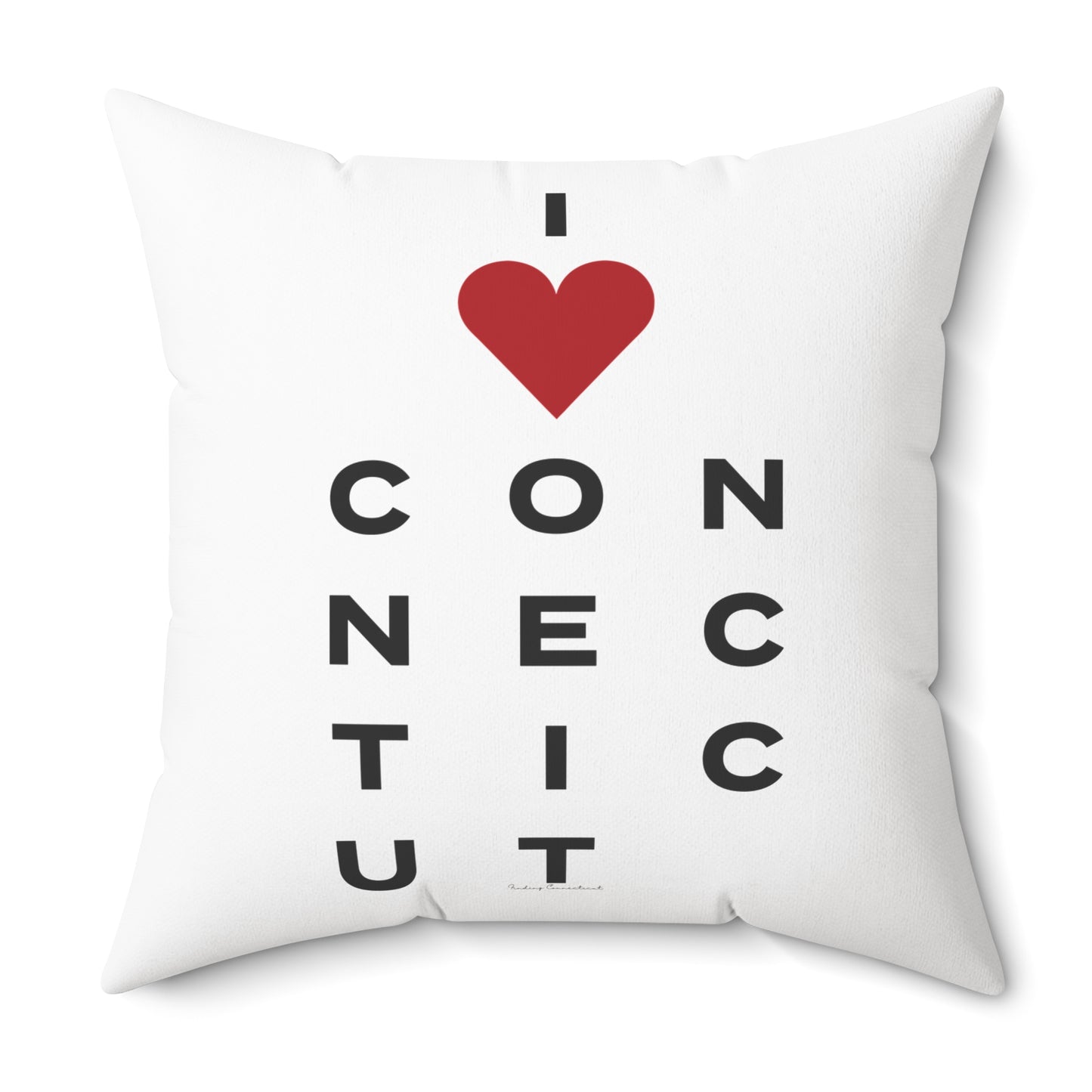 Connecticut Vision Spun Polyester Square Pillow