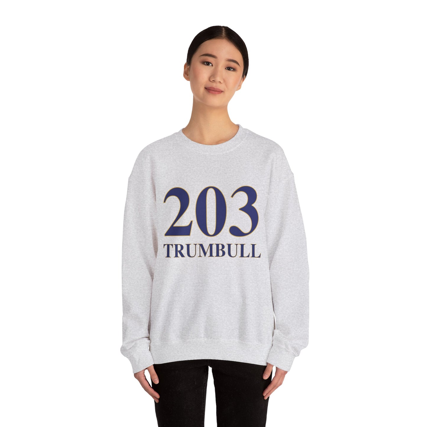203 Trumbull // Trumbull ct sweatshirt // finding connecticut