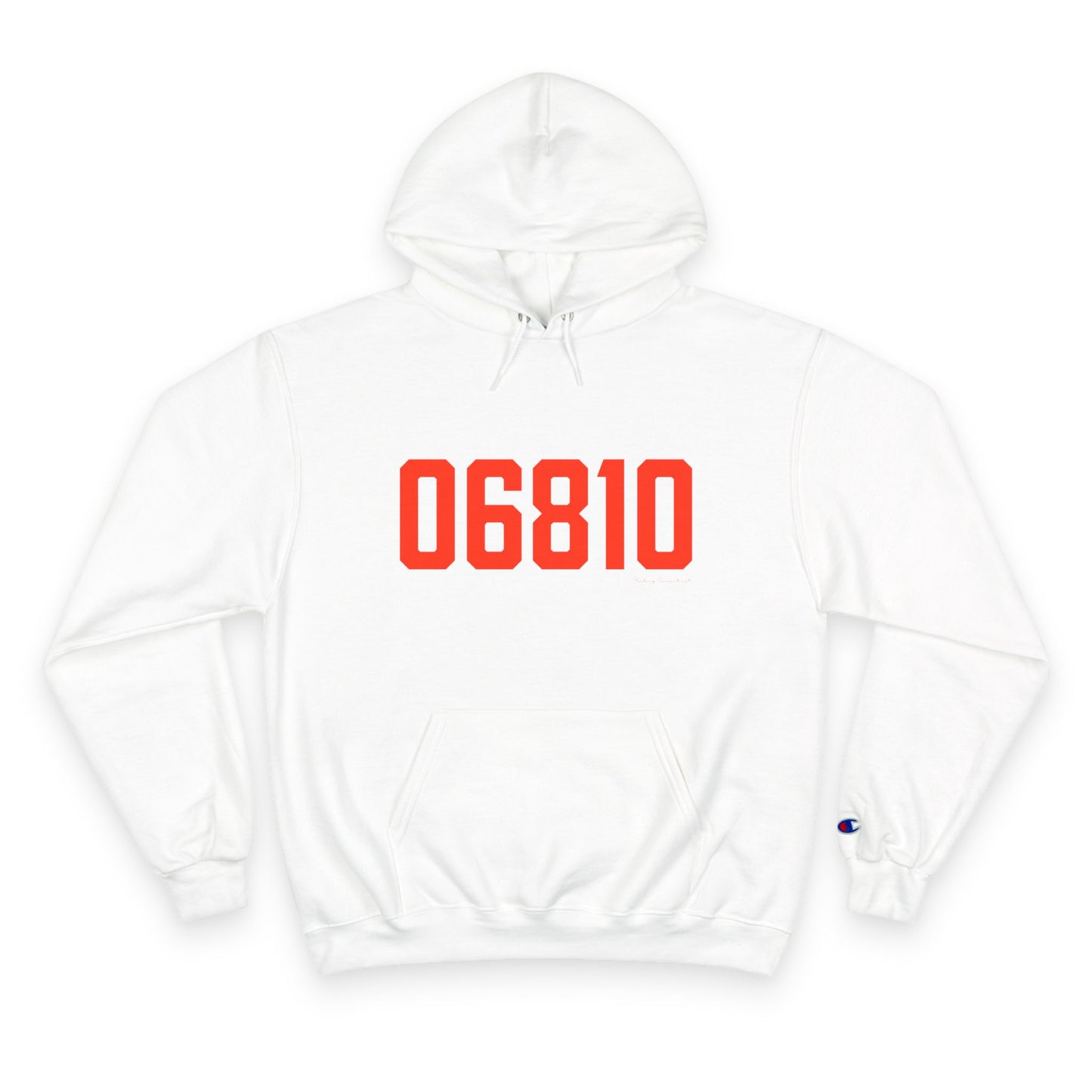 06810 Danbury Connecticut Zip Code Champion Hoodie Sweatshirt