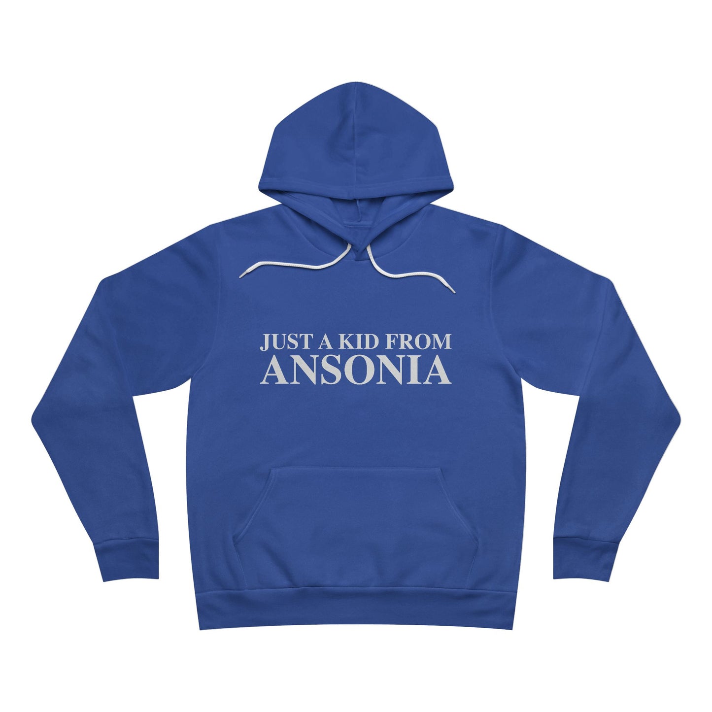 Just a kid from Ansonia Unisex Sponge Fleece Pullover Hoodie