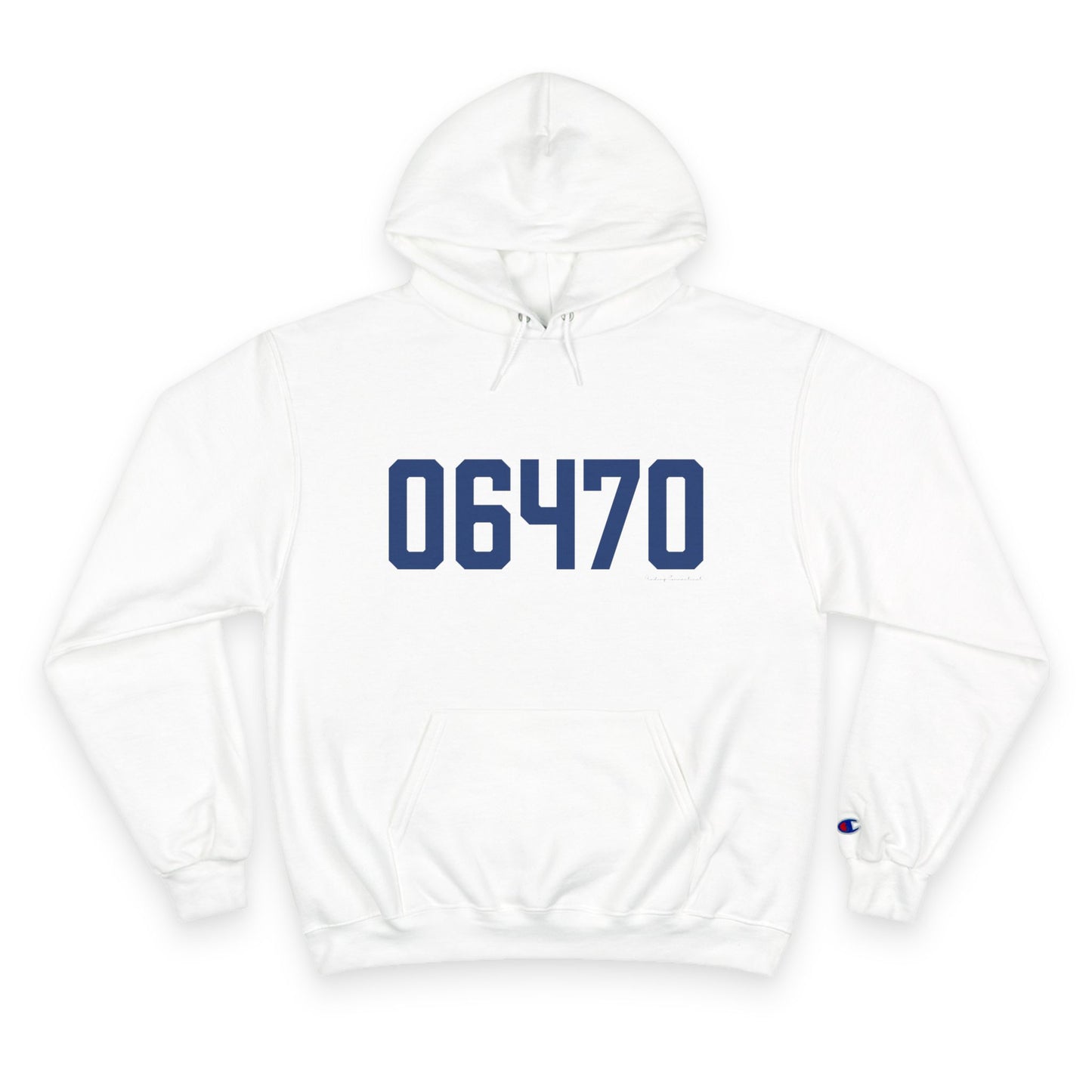 06470 Newtown Connecticut Zip Code Champion Hoodie