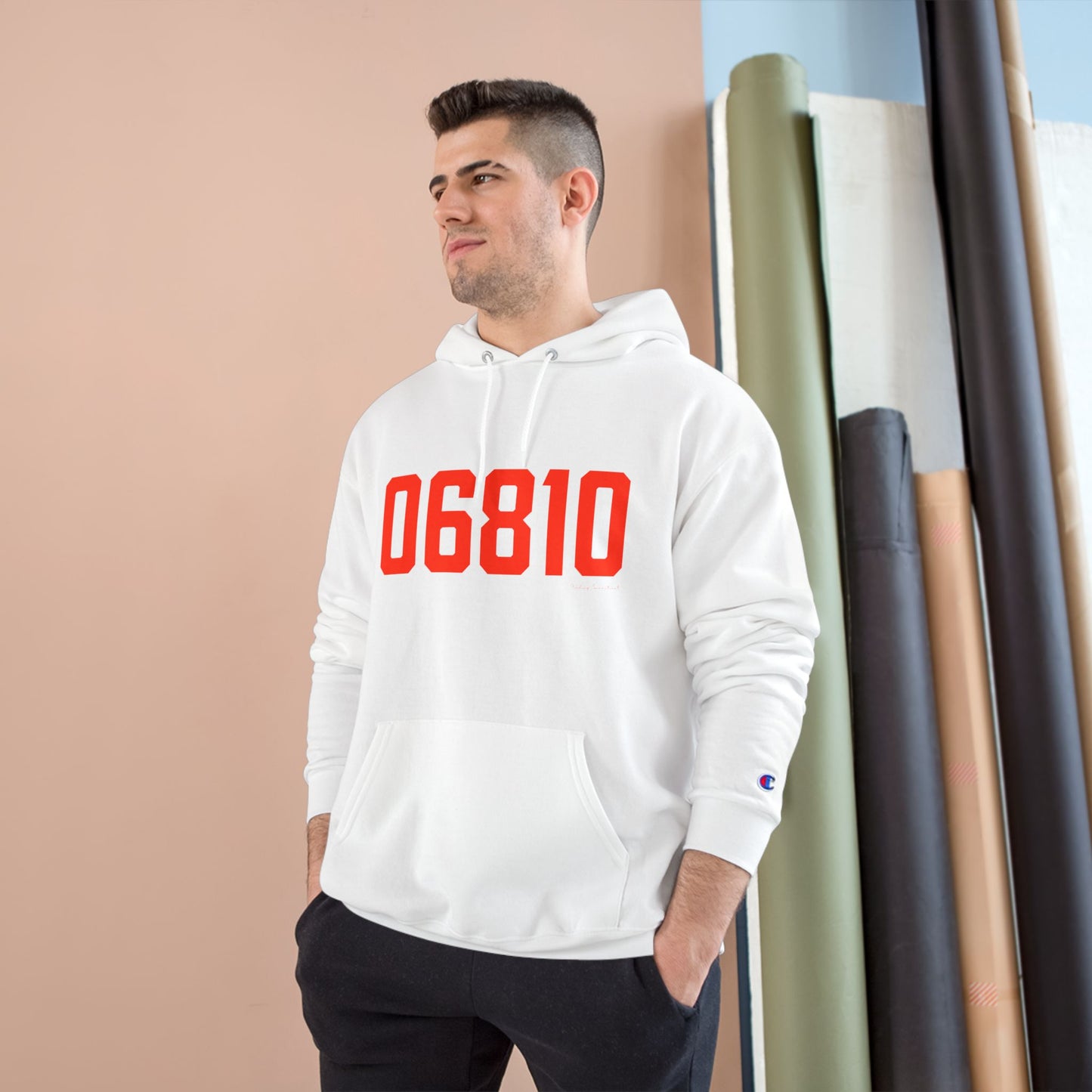 06810 Danbury Connecticut Zip Code Champion Hoodie Sweatshirt