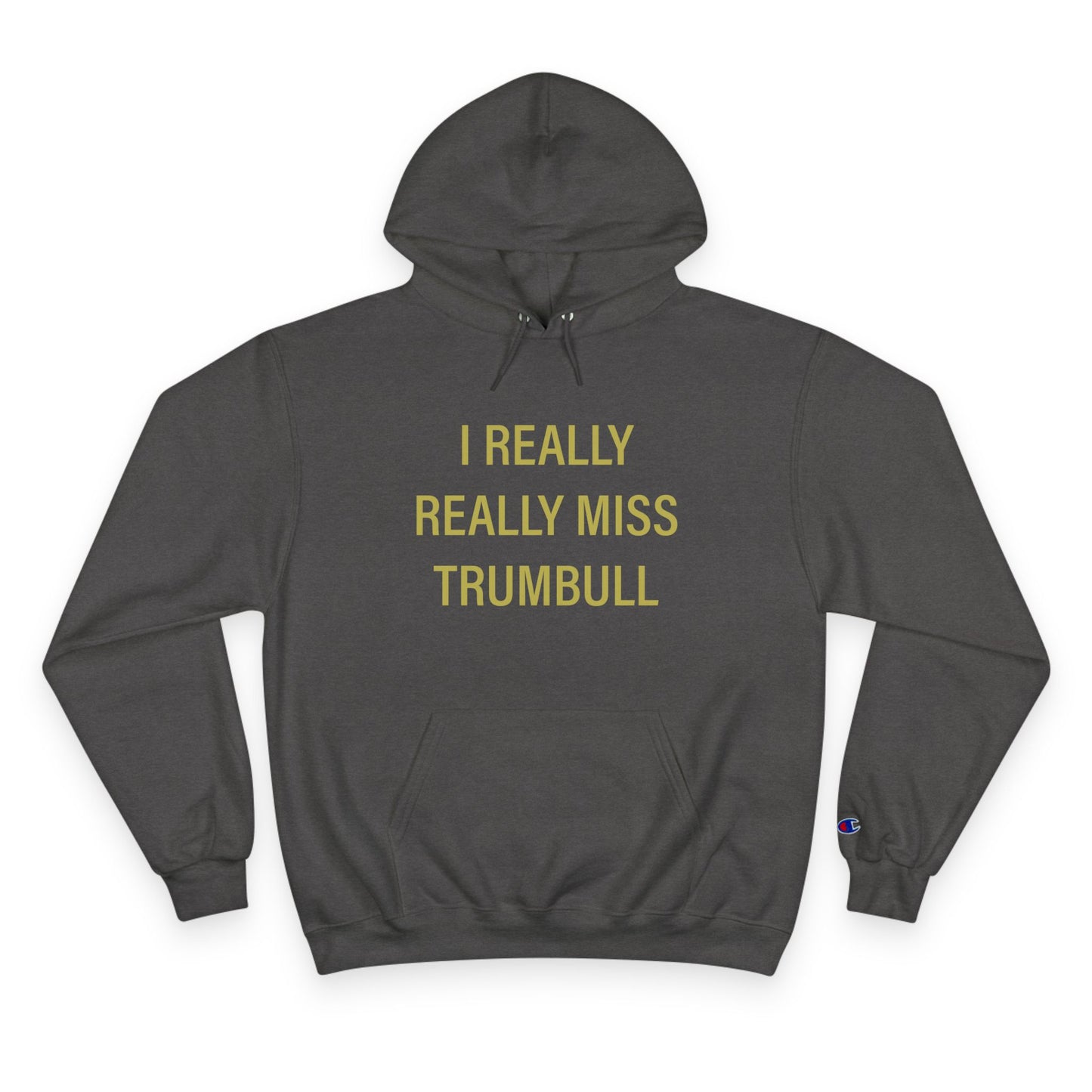 I Really Really Miss Trumbull Champion Hoodie