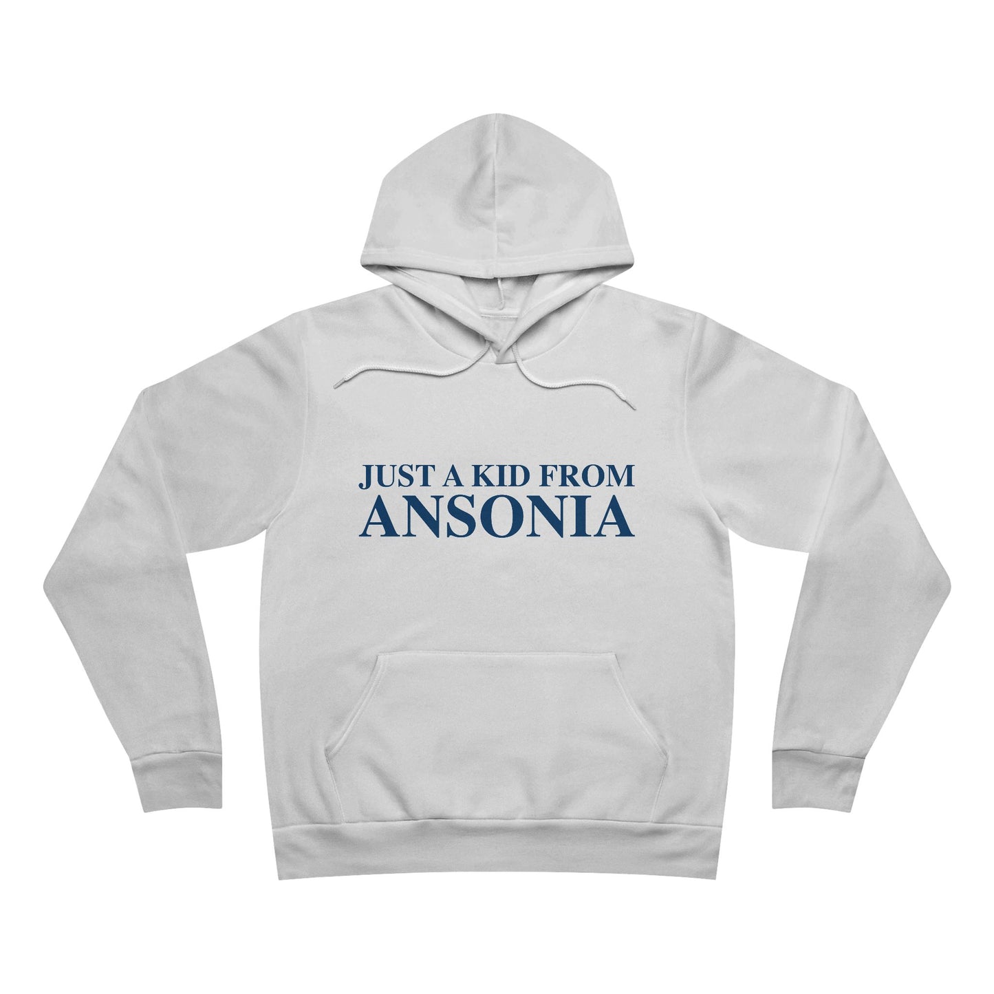 Just a kid from Ansonia Unisex Sponge Fleece Pullover Hoodie