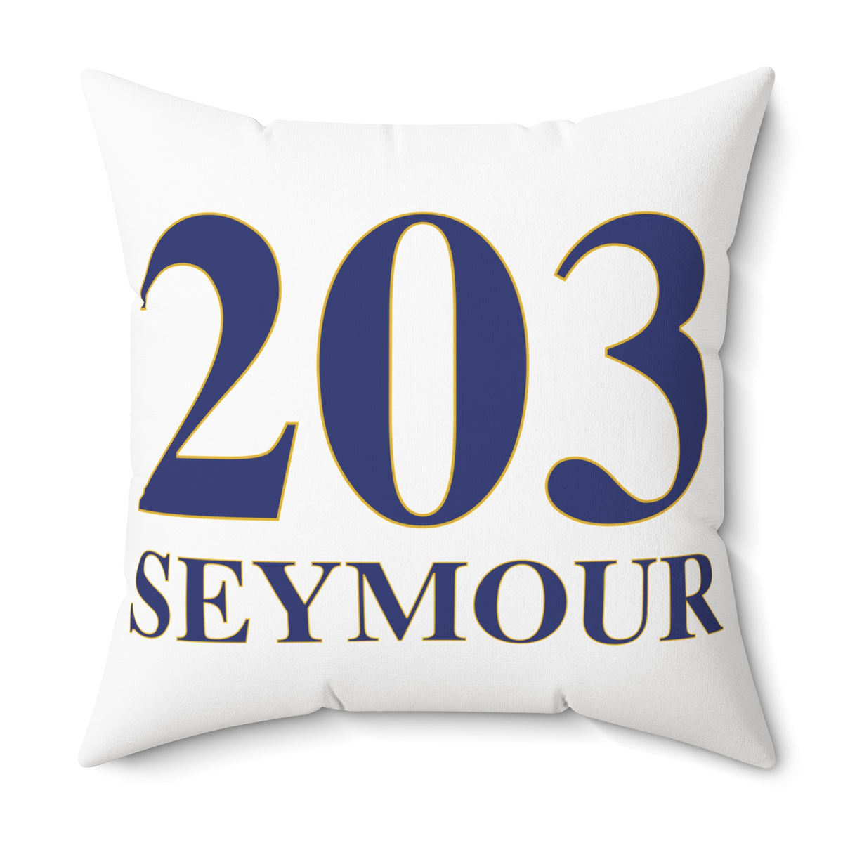 203 Seymour Polyester Square Pillow