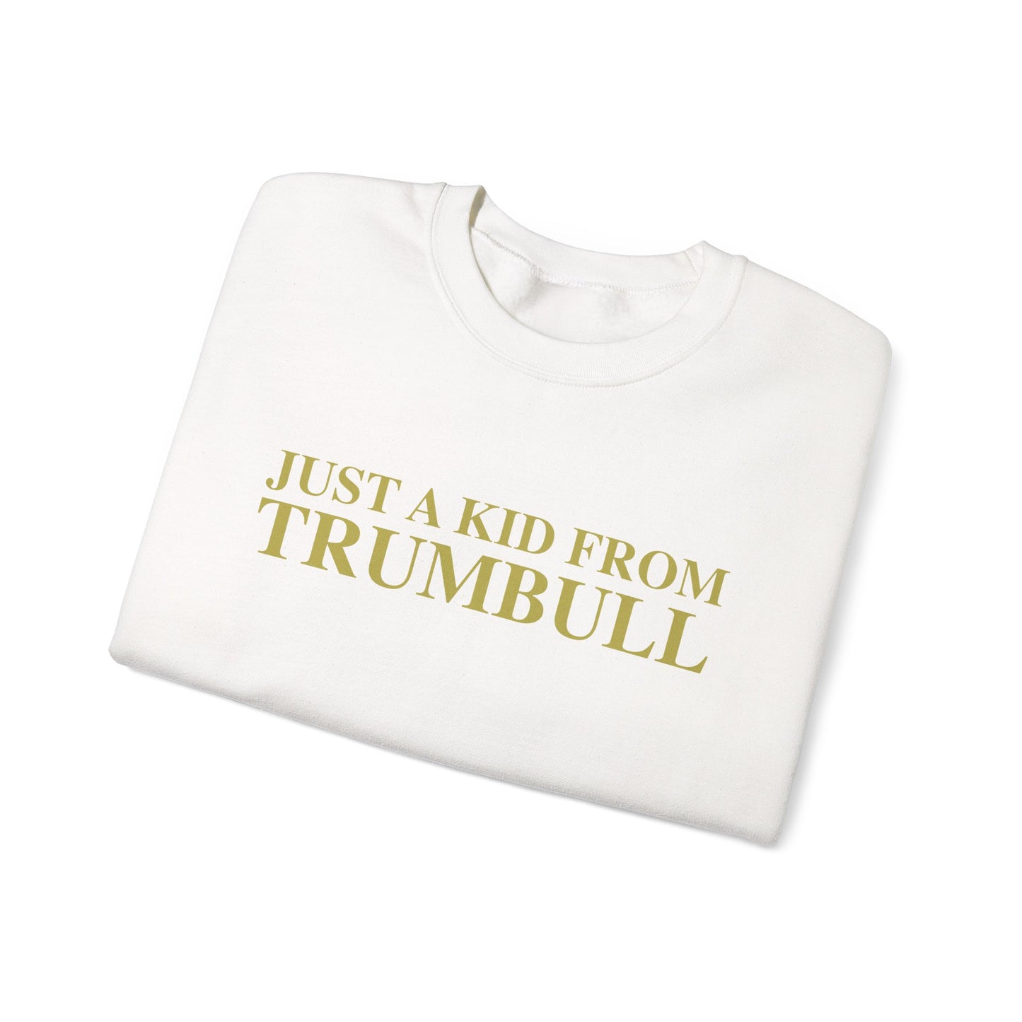 Just a kid from Trumbull Unisex Heavy Blend™ Crewneck Sweatshirt