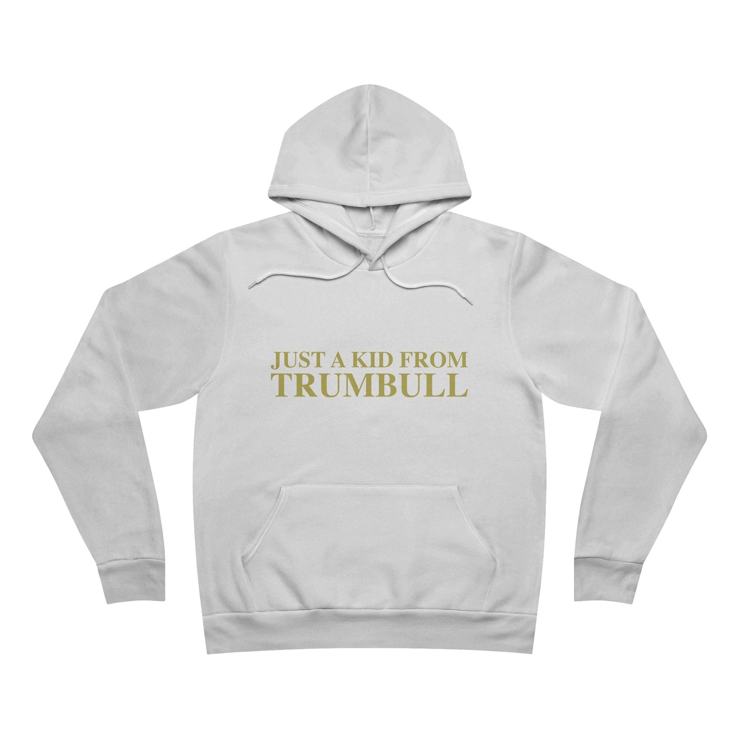Just a kid from Trumbull Unisex Sponge Fleece Pullover Hoodie