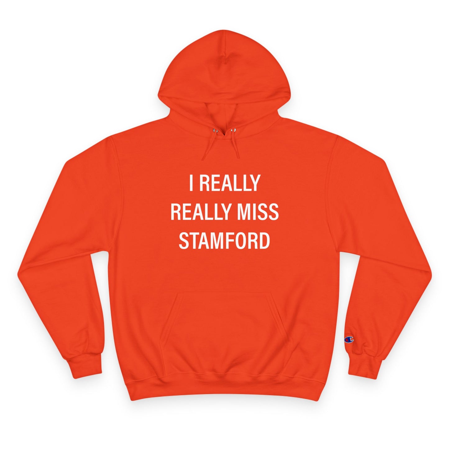 I Really Really Miss Stamford Champion Hoodie