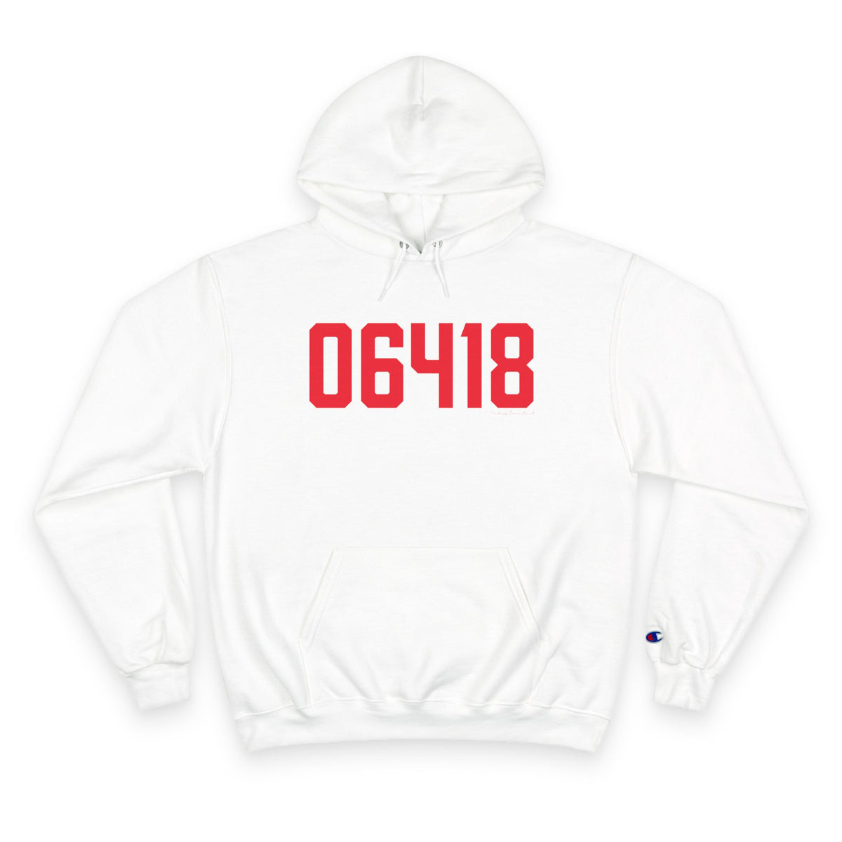 06418 Derby Connecticut Zip Code Champion Hoodie